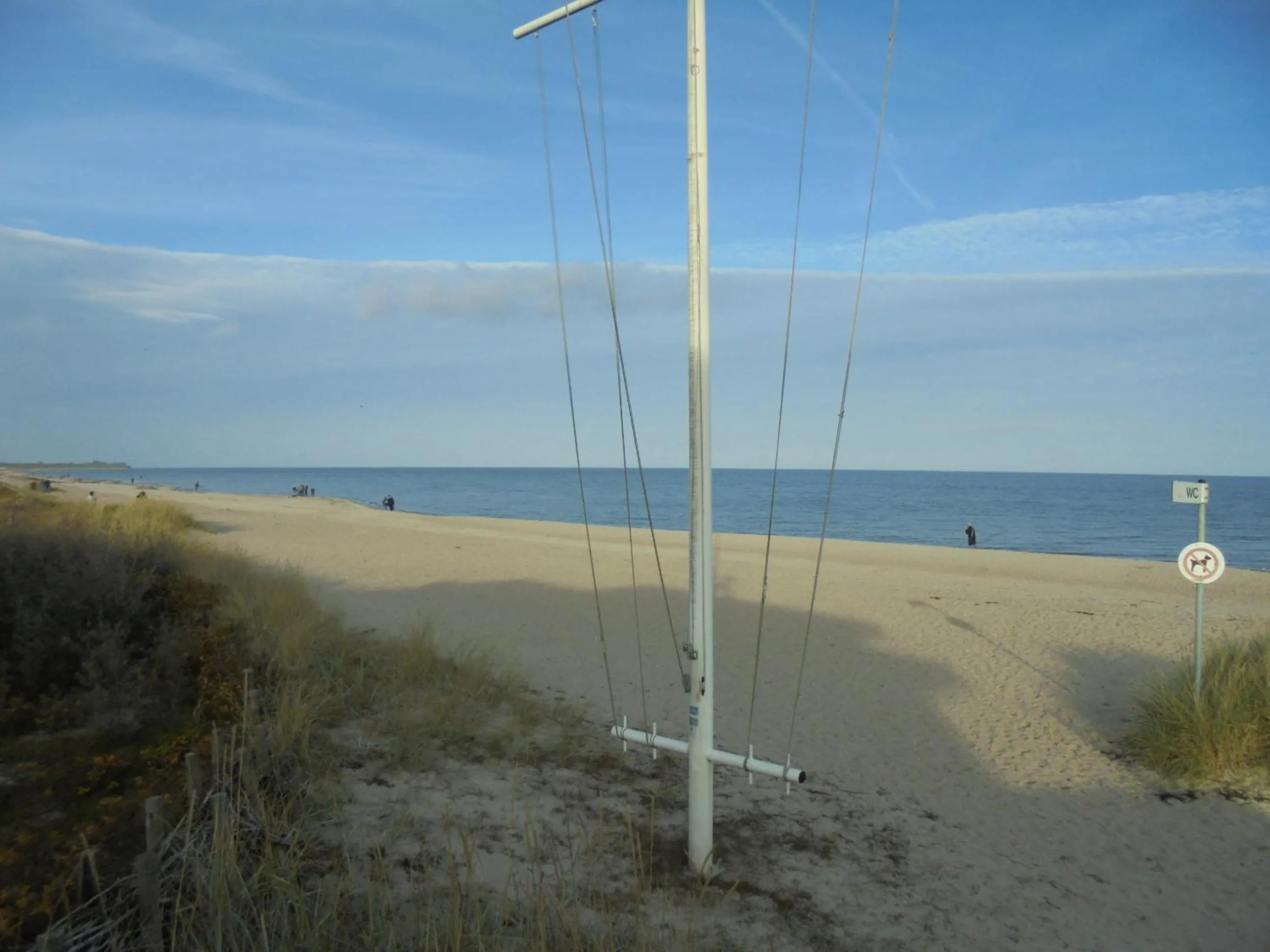 Ostseestern