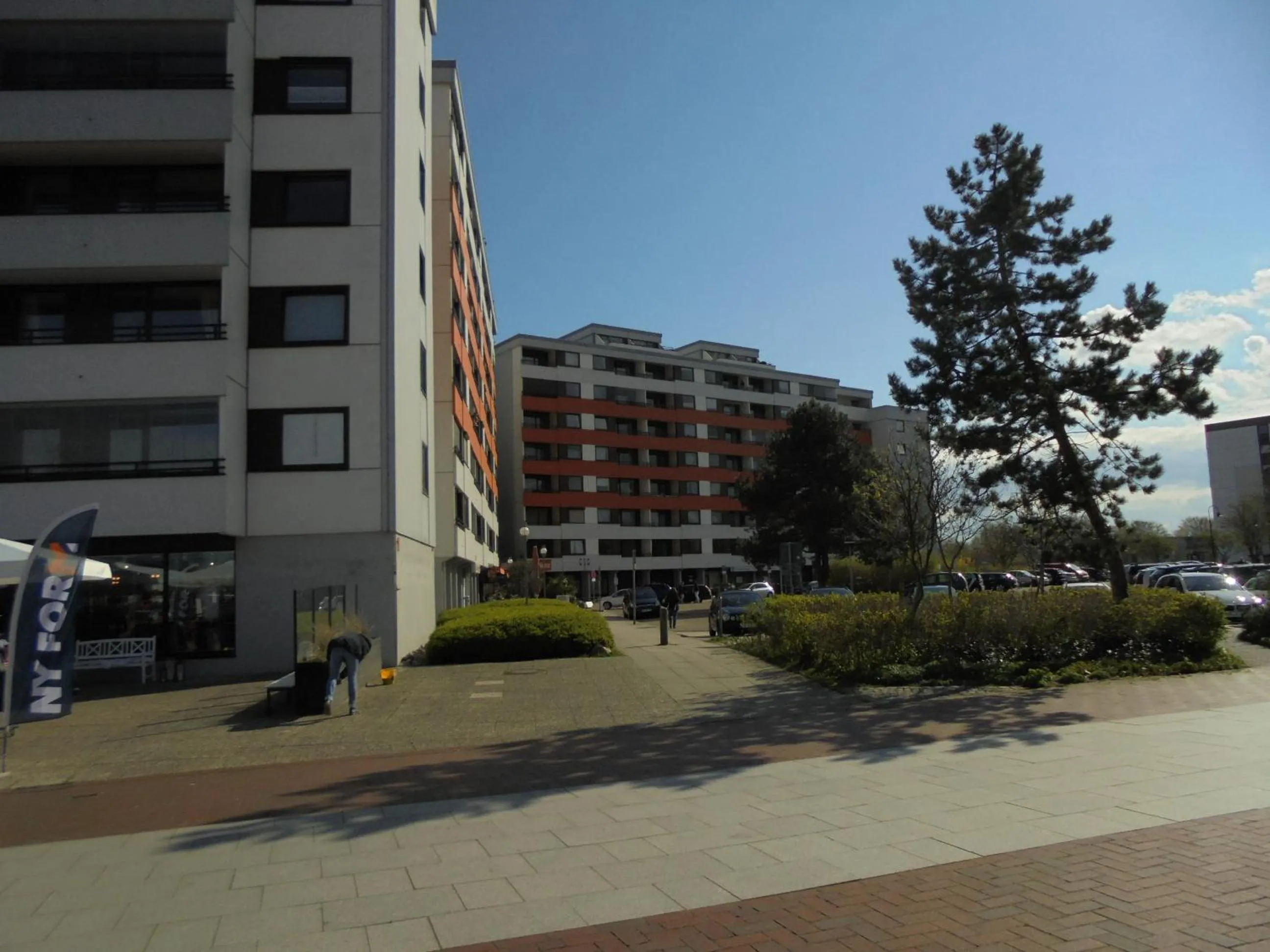 Ostseestern