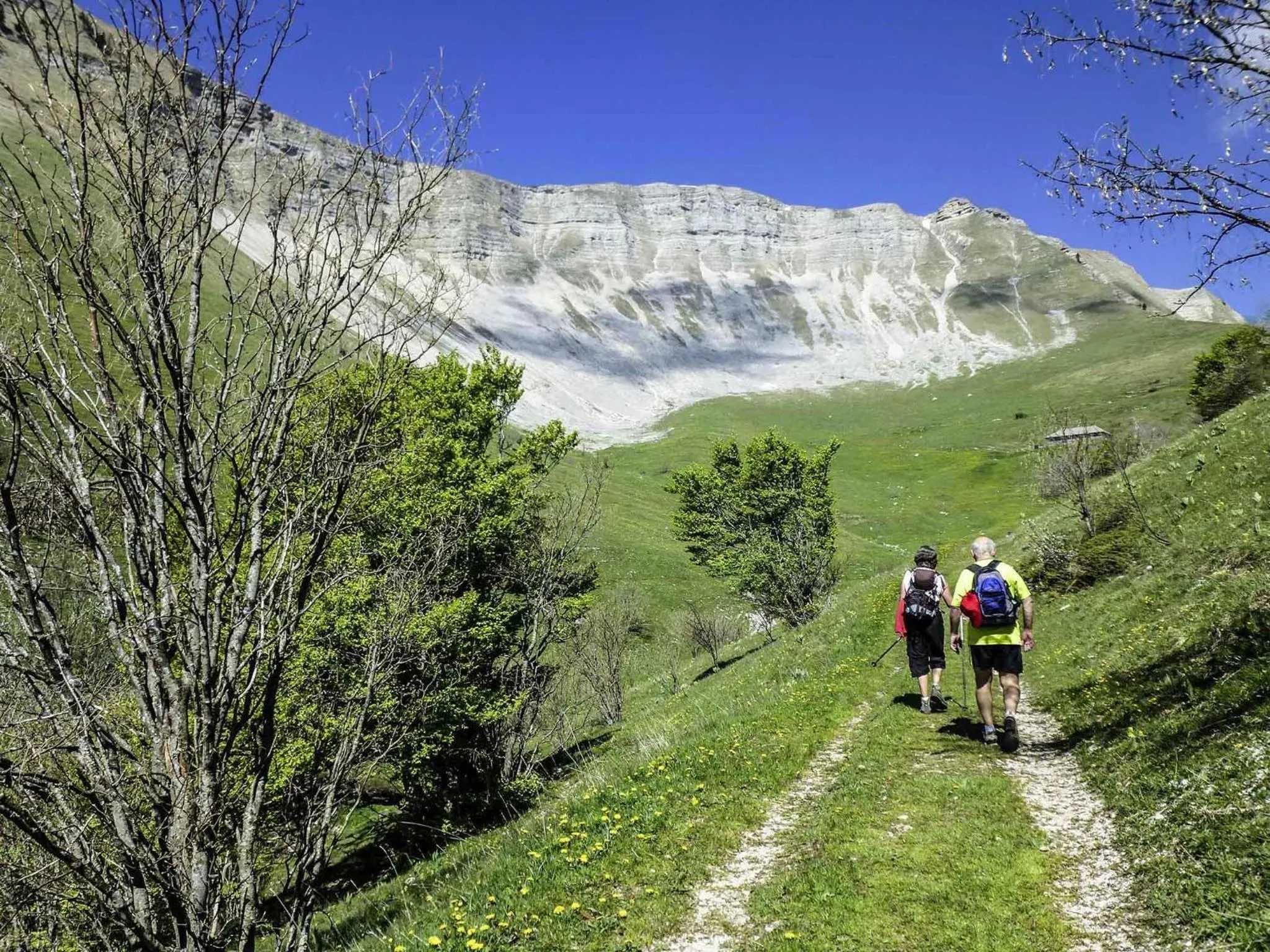 Other in Hôtel Mercure Rodez Cathédrale