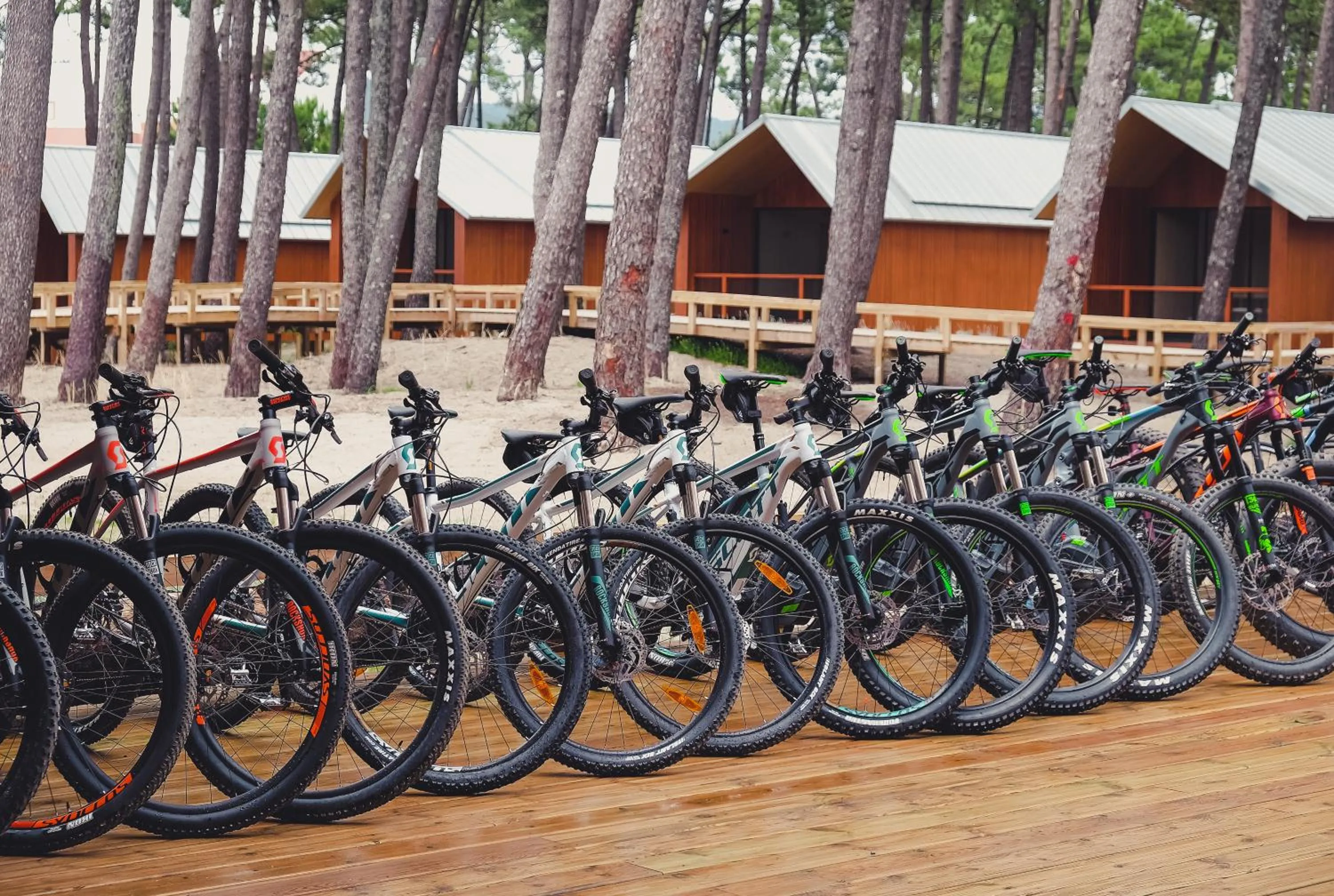 Activities in FeelViana Sport Hotel