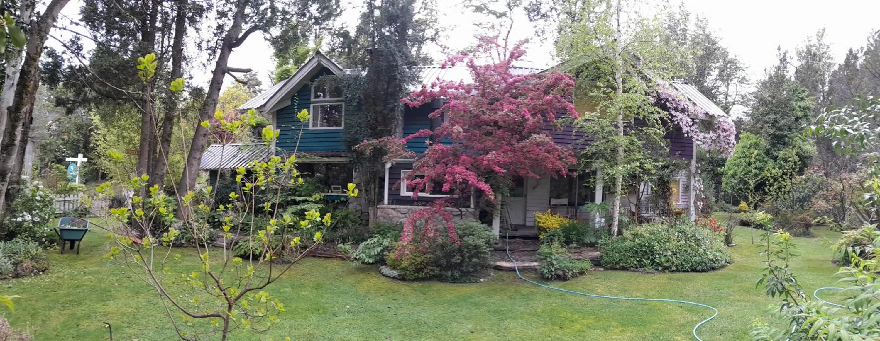 Dodo House Bed & Breakfast