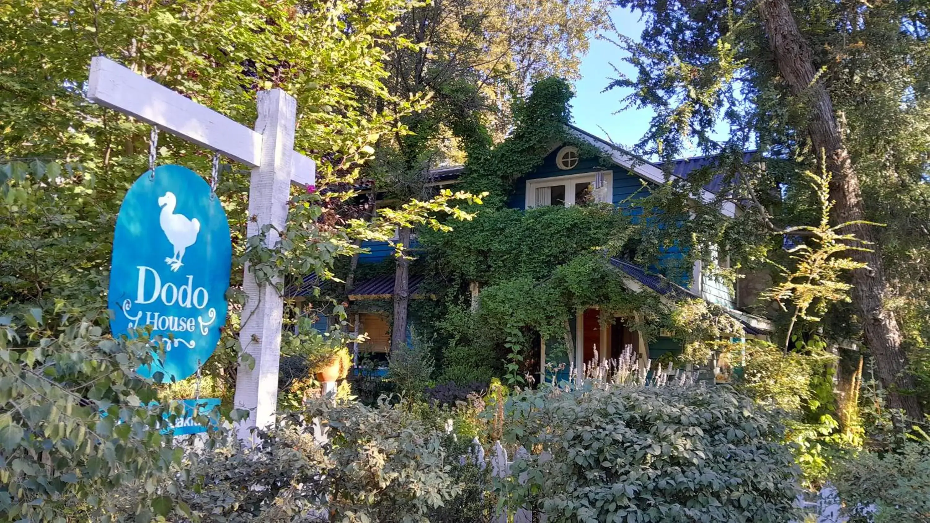 Dodo House Bed & Breakfast Dodo House Bed & Breakfast