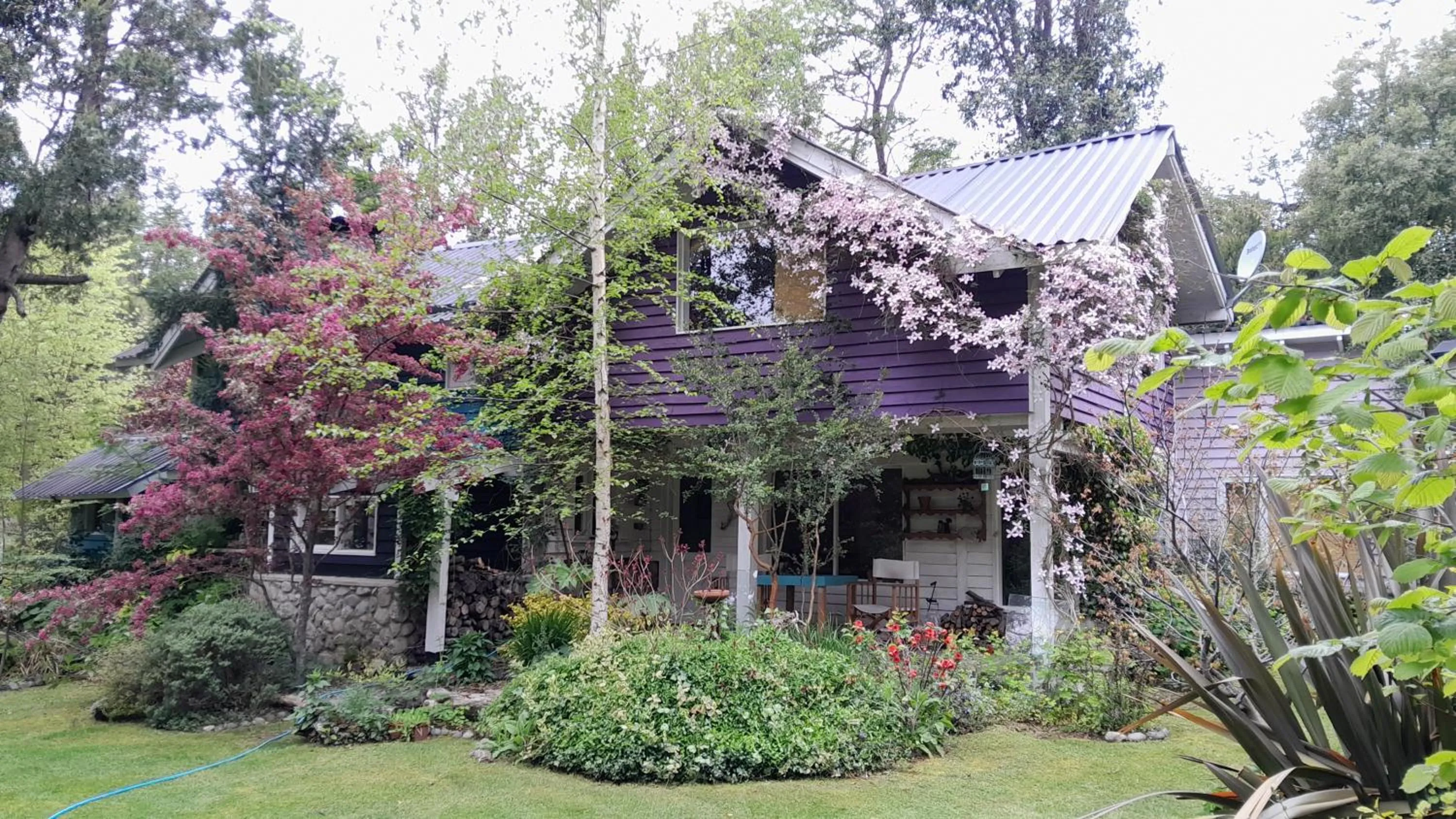 Dodo House Bed & Breakfast