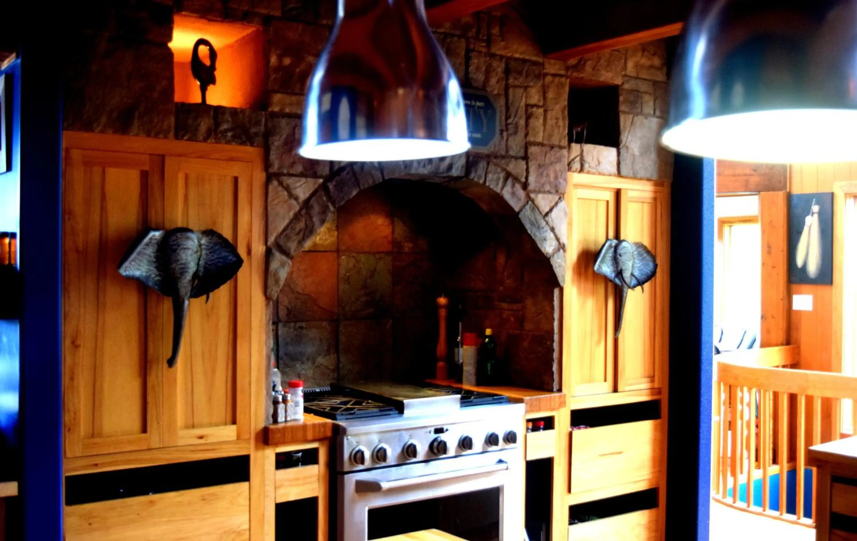 Communal kitchen in South Africa House Guest Lodge