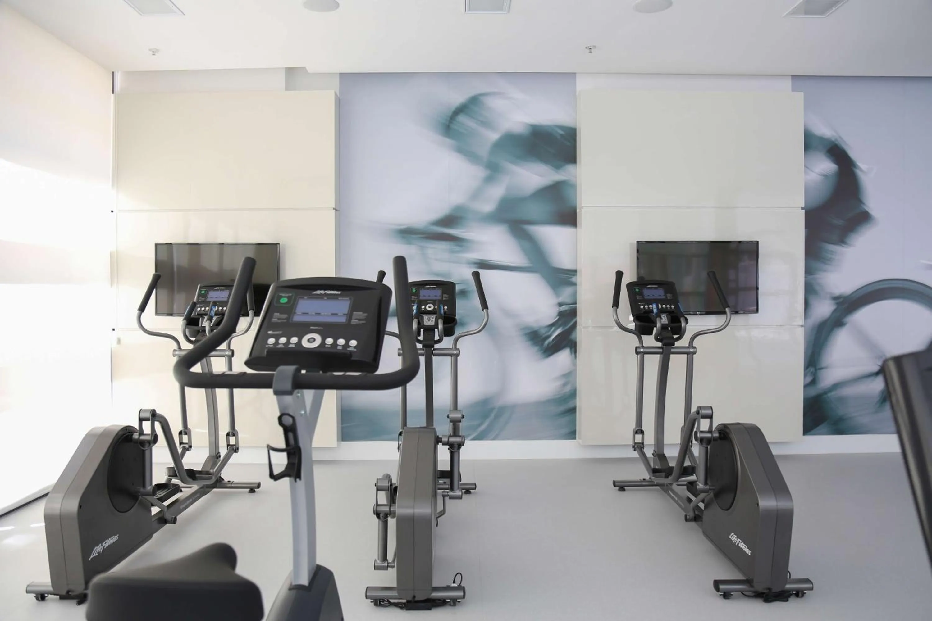 Activities in NH Collection Curitiba