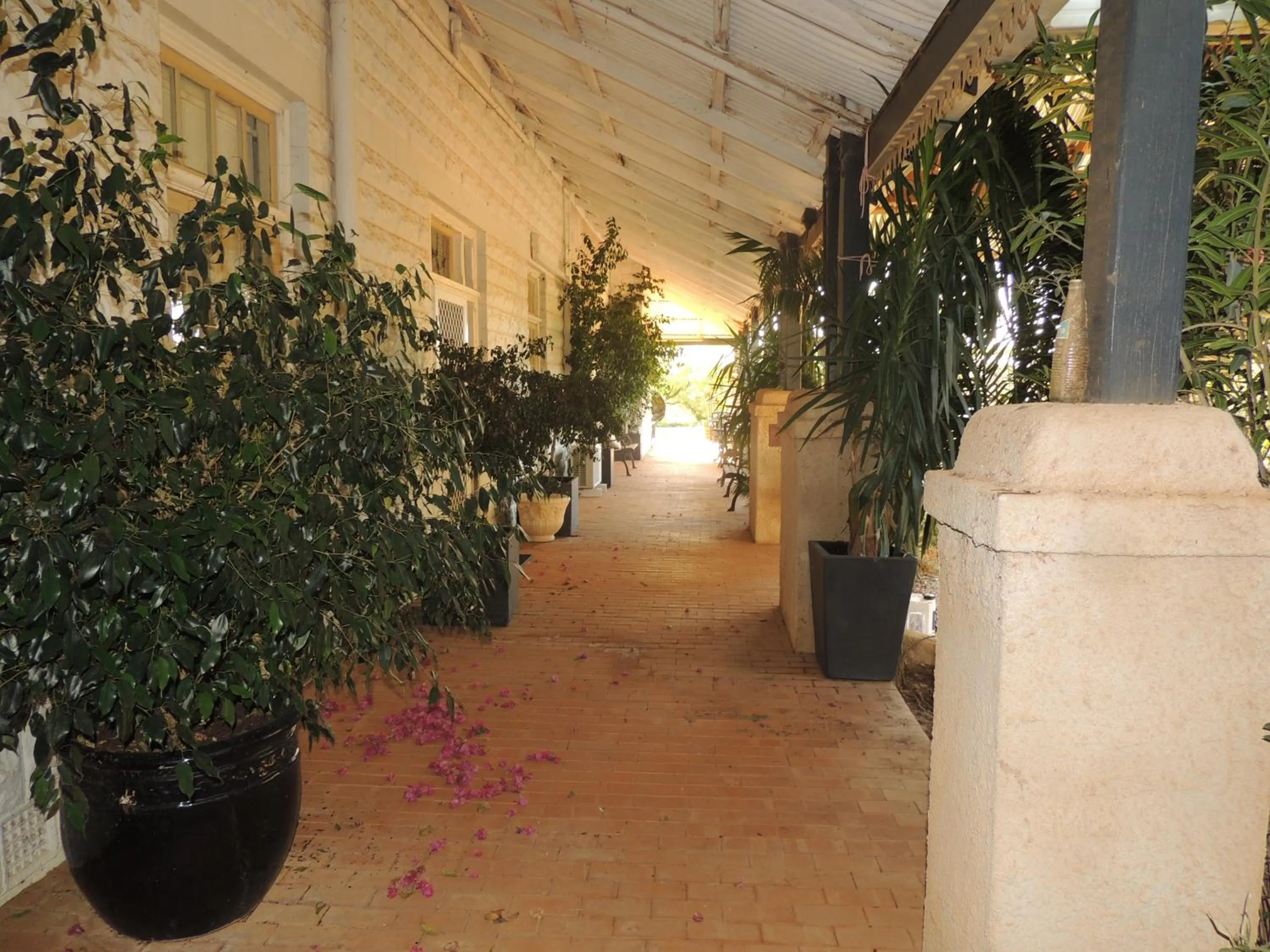 Property building in The Old Convent Dalwallinu