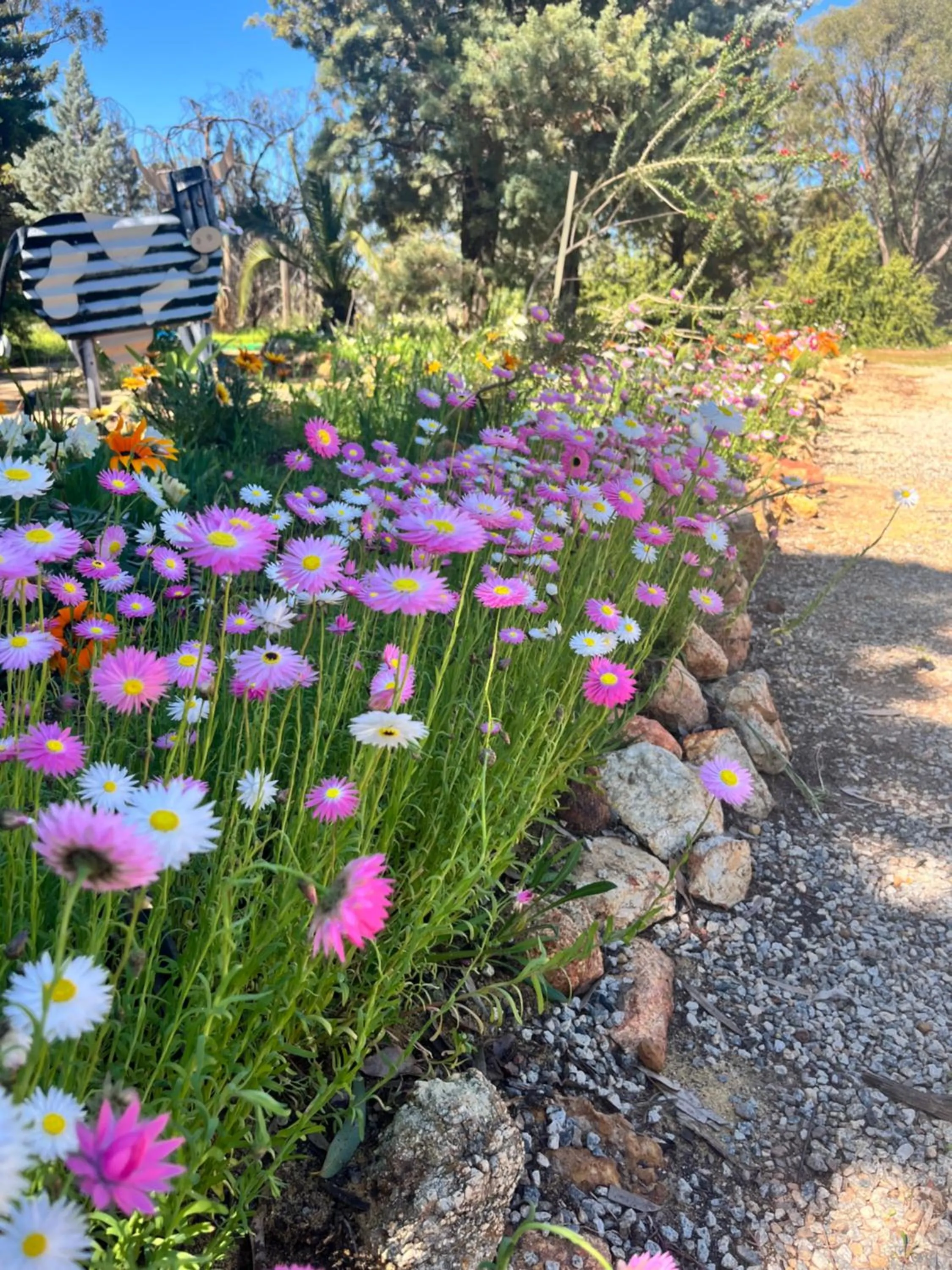 The Old Convent Dalwallinu