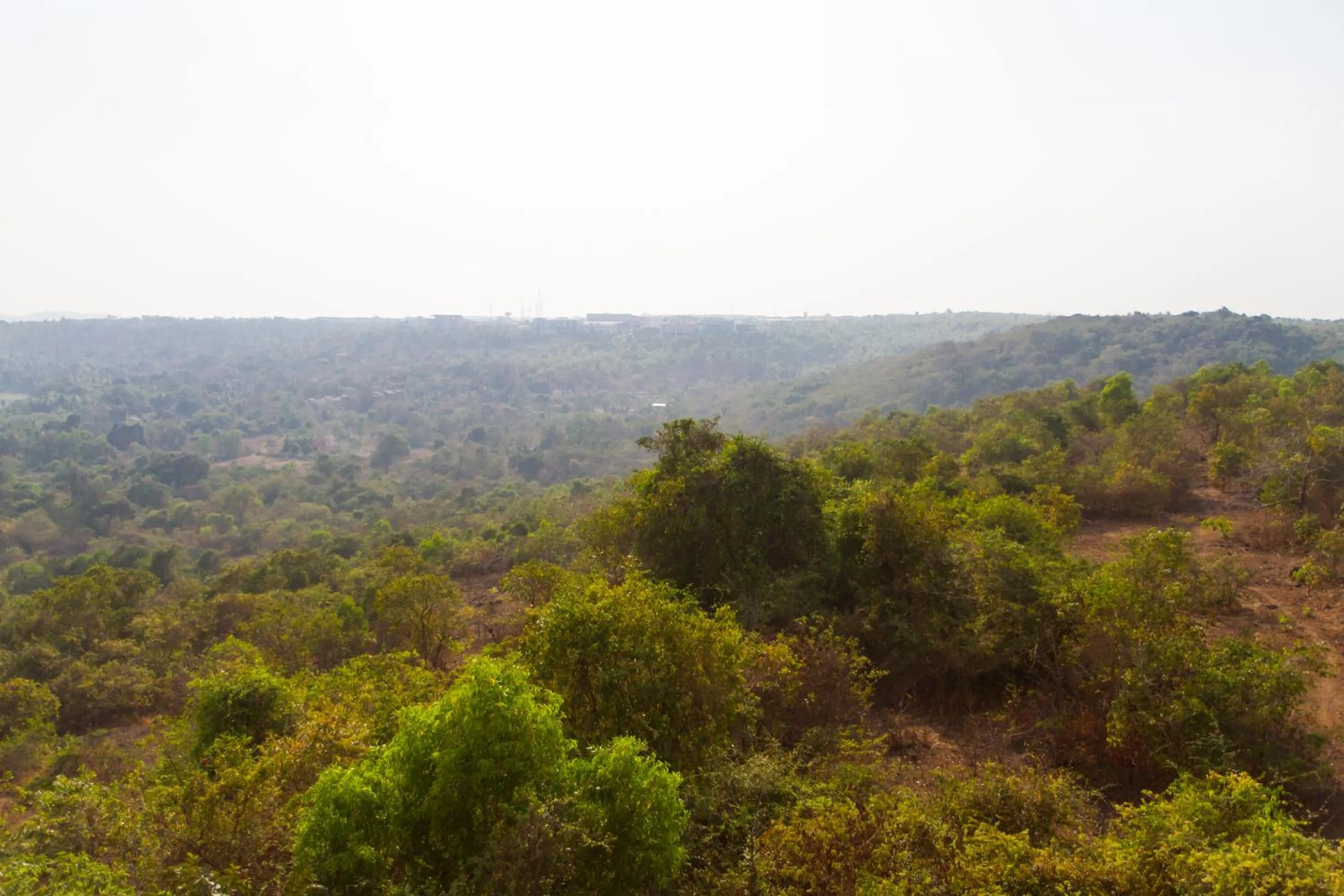 Area and facilities in Westwood Residence Goa - The Boutique Hotel