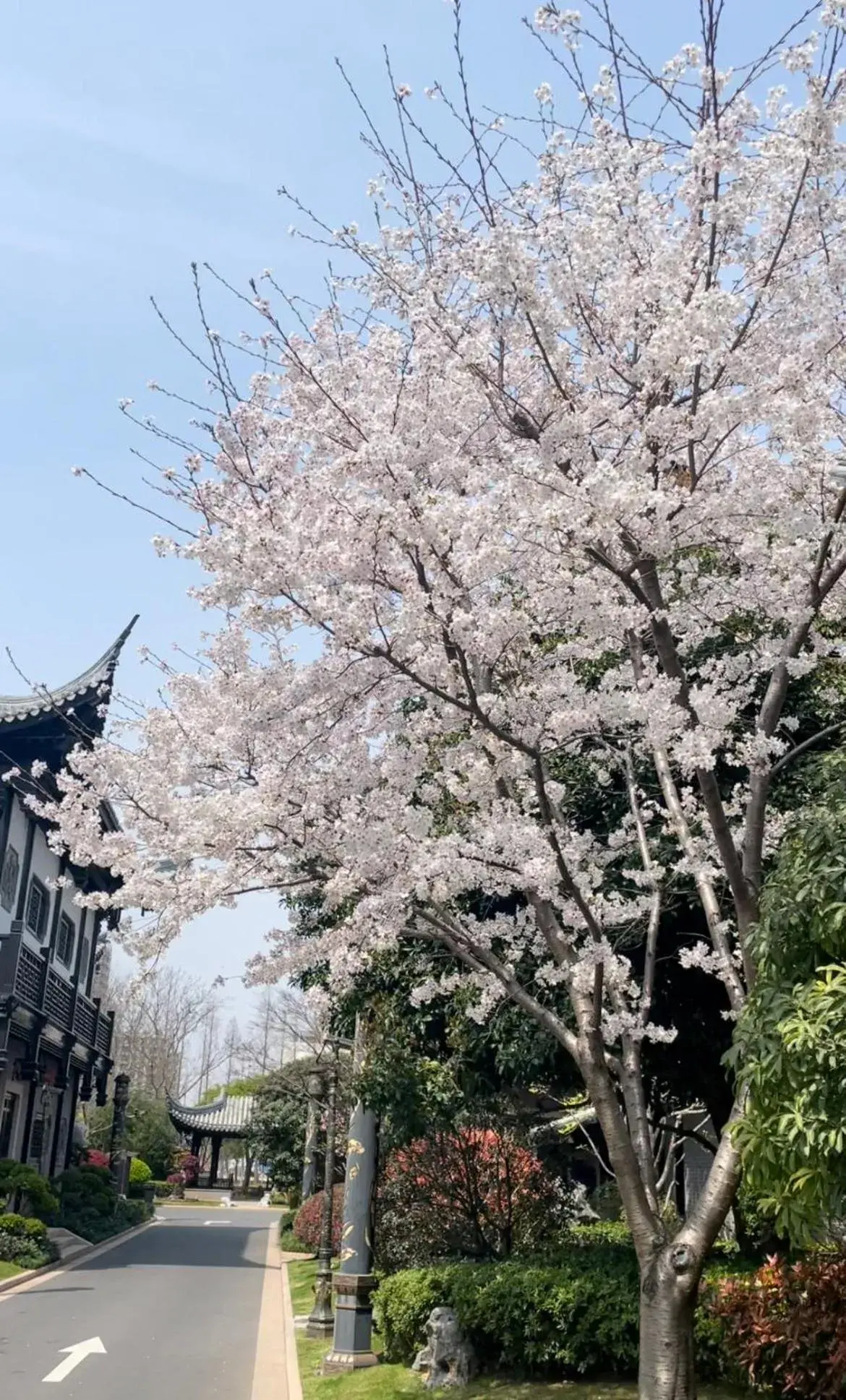 Property building in Royal Garden Hotel Shanghai-Free Shuttle to and From Disney & PVG & close Metro Line2 easy to SHA New Expo Property building in Royal Garden Hotel Shanghai-Free Shuttle to and From Disney & PVG & close Metro Line2 easy to SHA New Expo