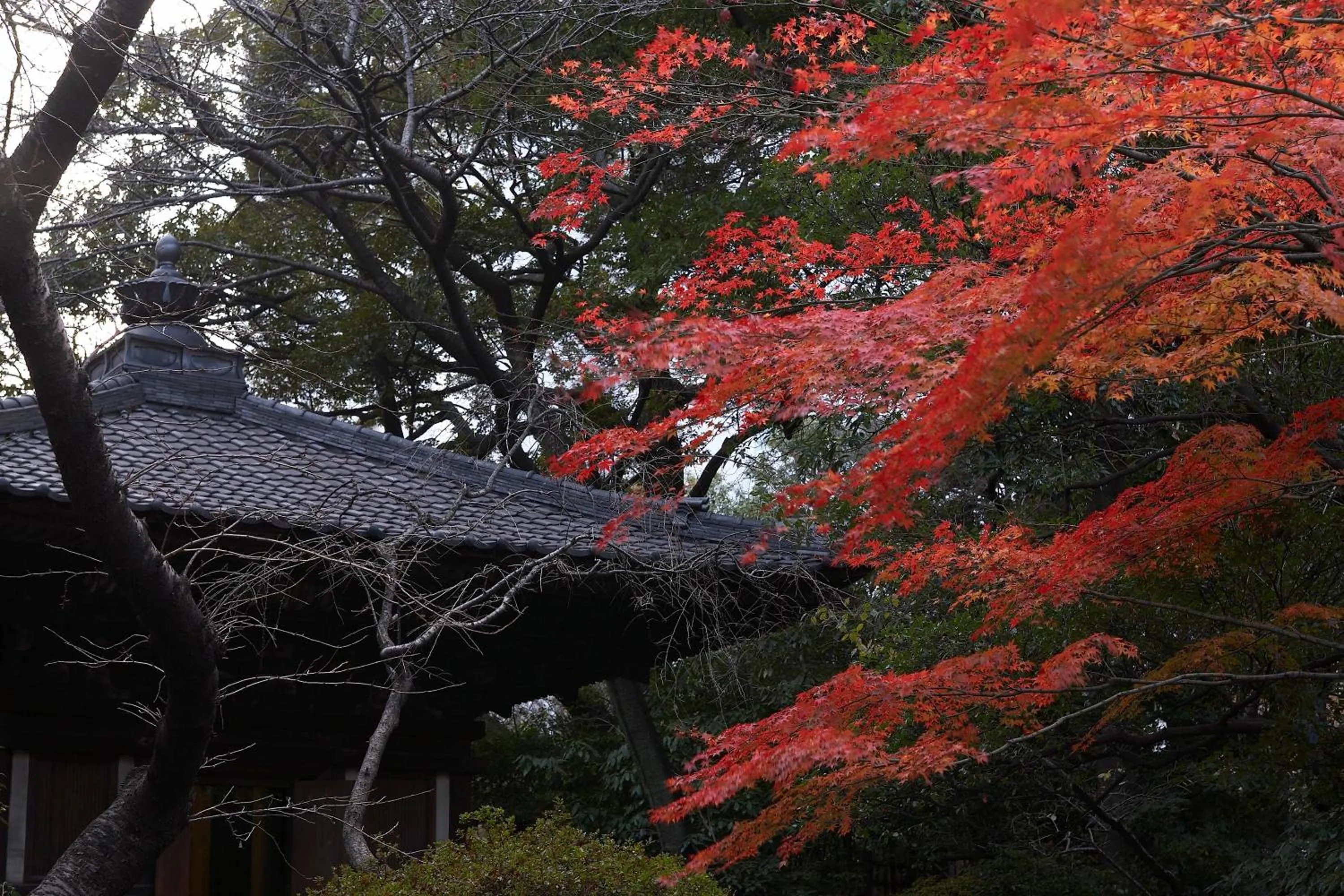 Garden in Takanawa Hanakohro - in Grand Prince Hotel Takanawa