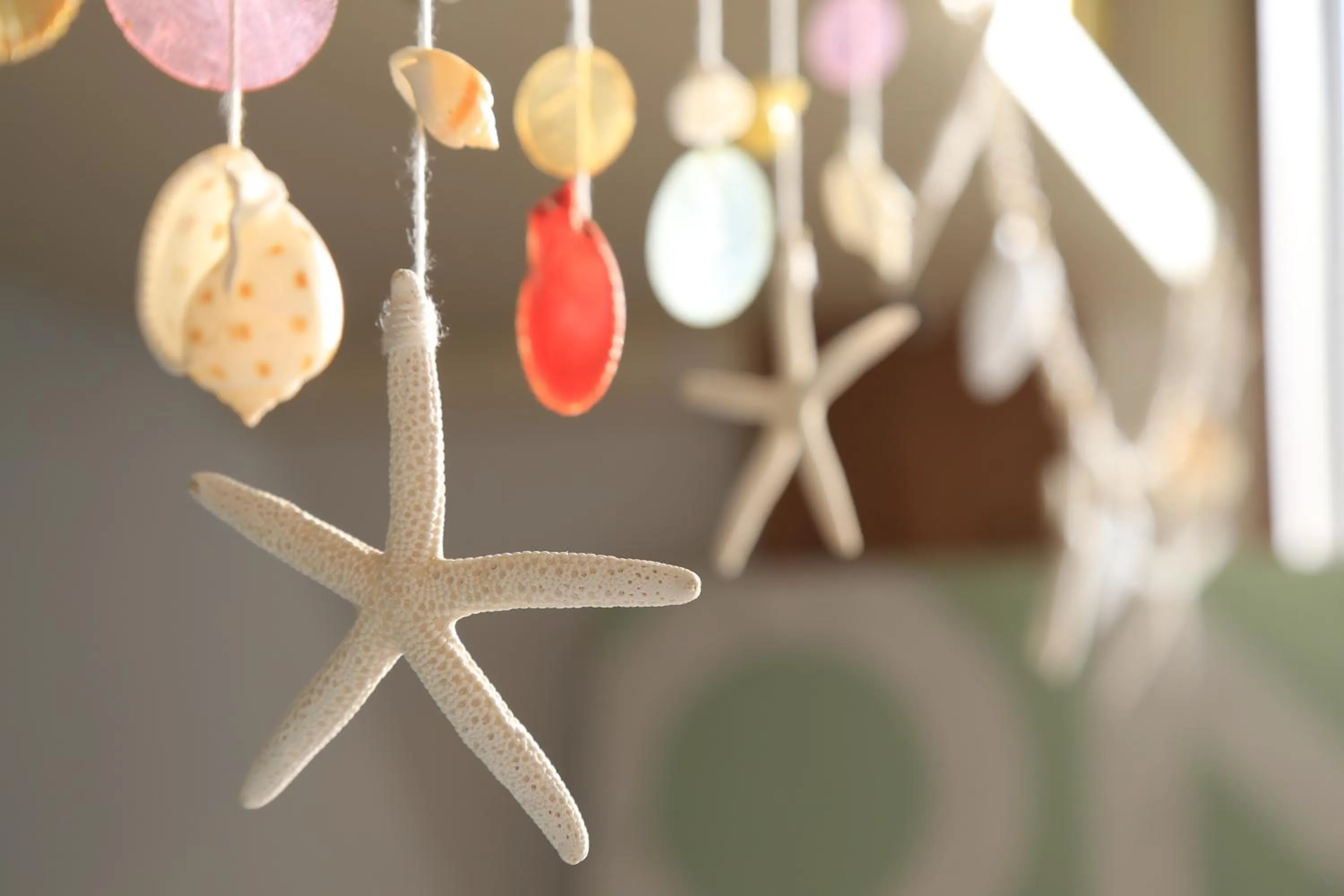 Decorative detail in Seven Colors Ishigakijima