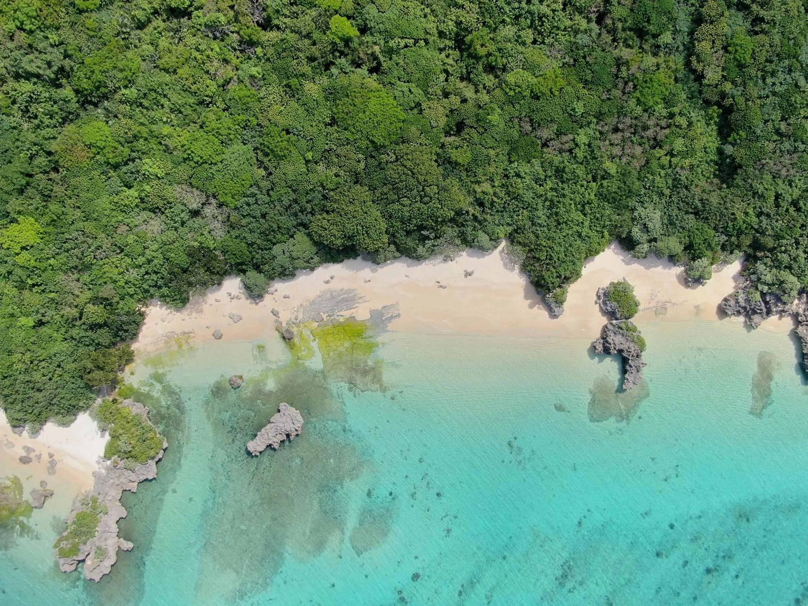 Seven Colors Ishigakijima