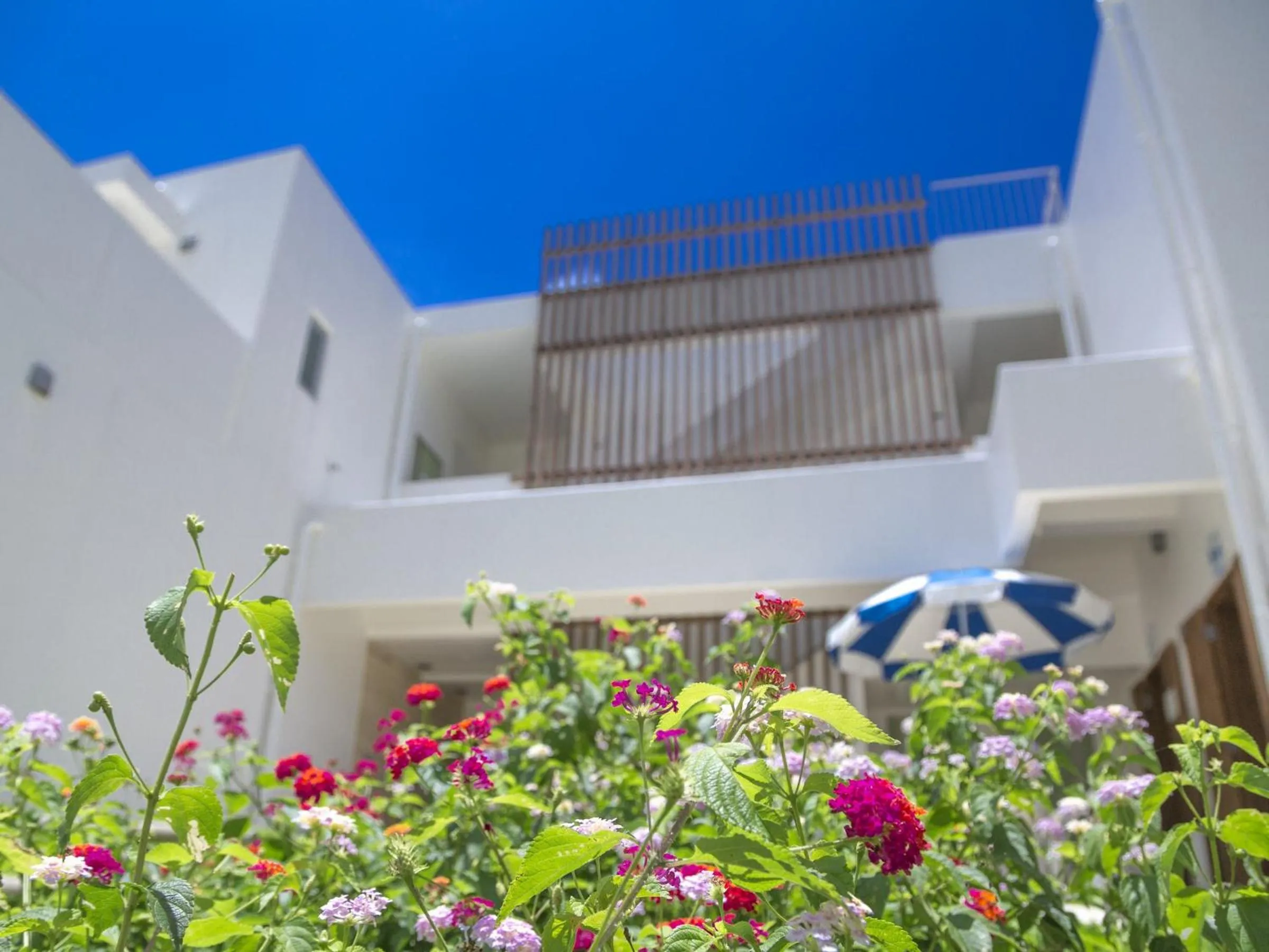 Property building in Seven Colors Ishigakijima