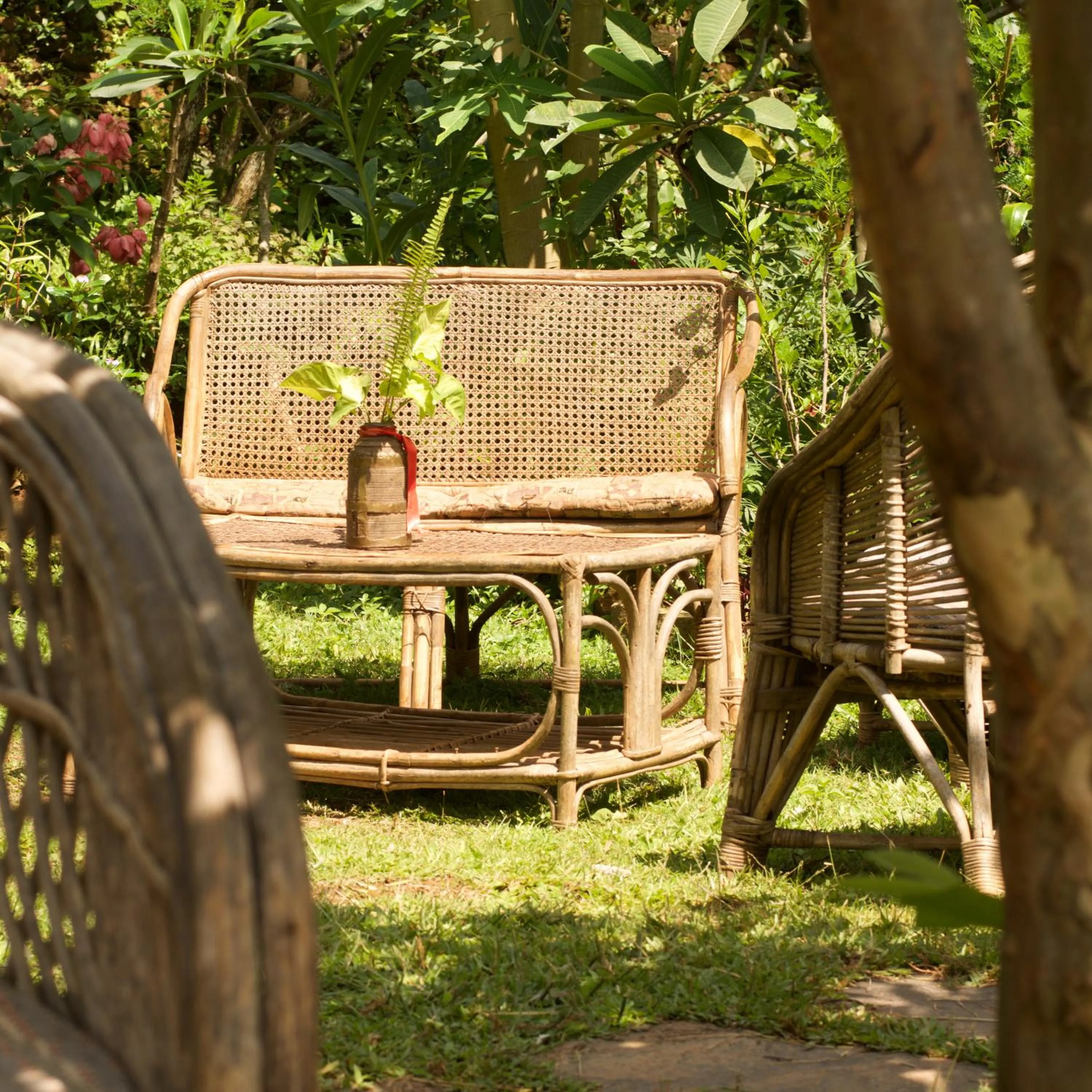 Garden view in The Famous Farm