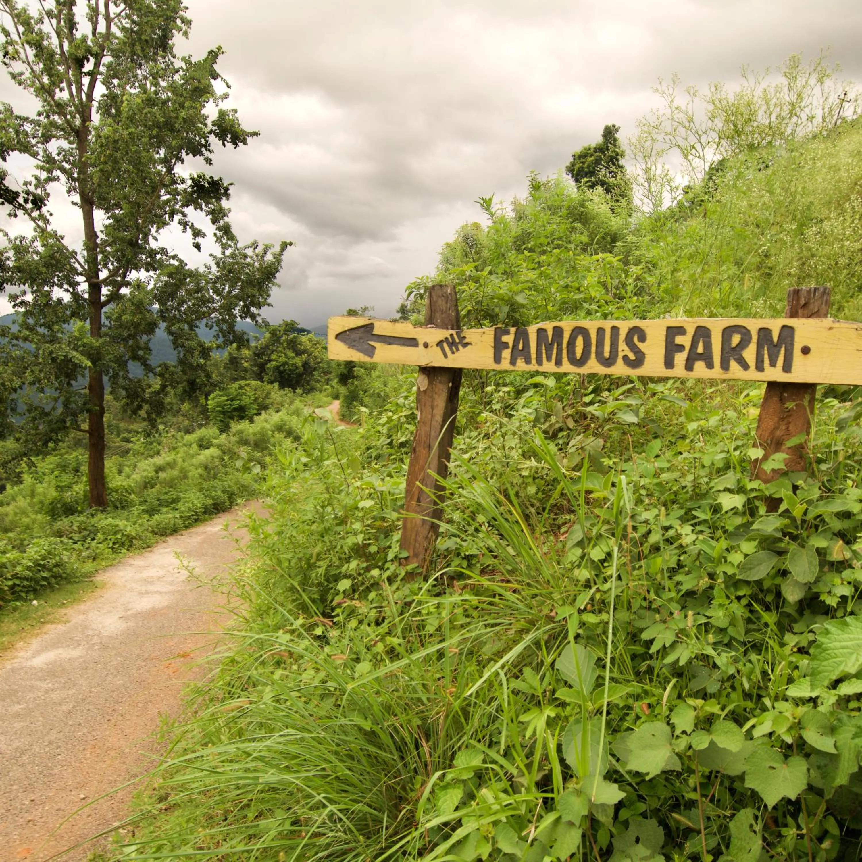 Property logo or sign in The Famous Farm