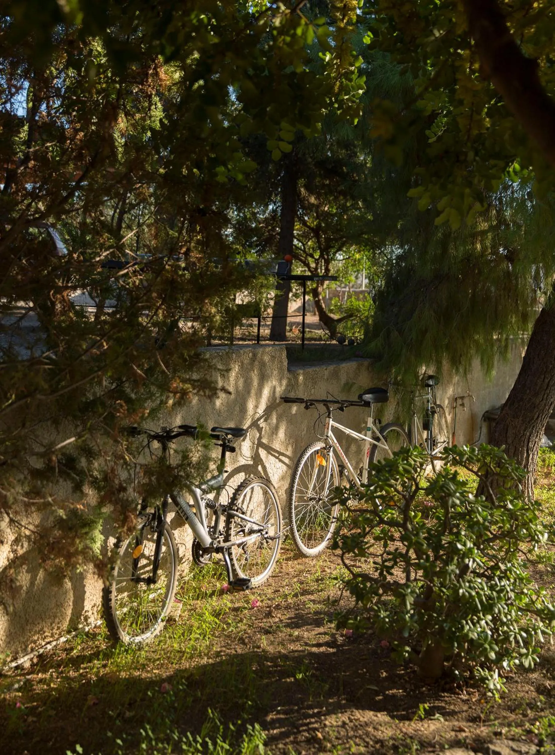 Cycling in Sea View Pool Villa with Independent Guest house
