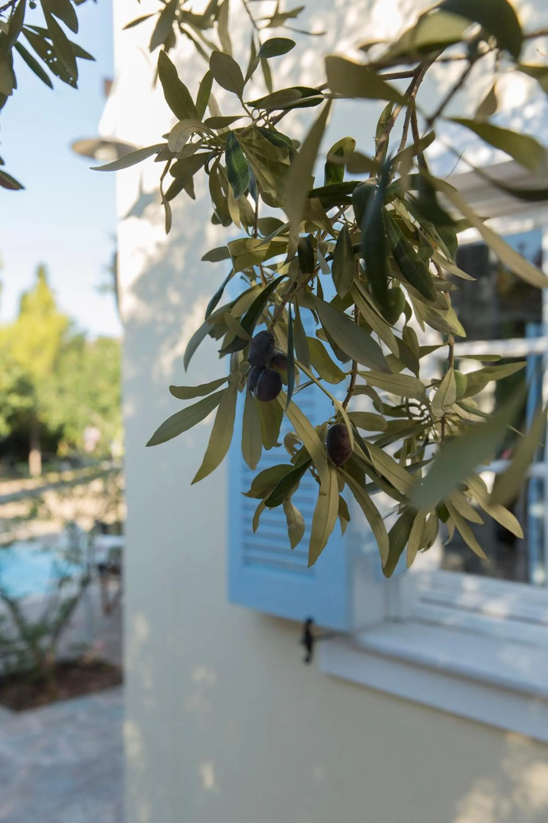 Decorative detail in Sea View Pool Villa with Independent Guest house