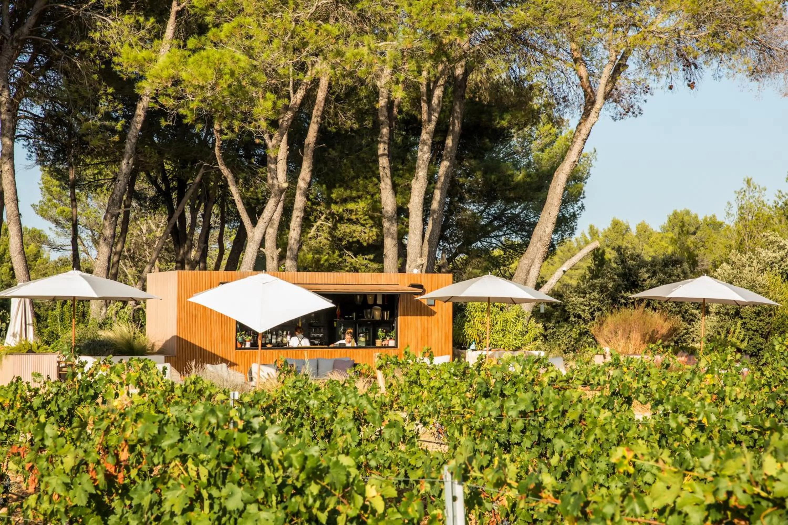 Restaurant/places to eat in Domaine la Pierre Blanche