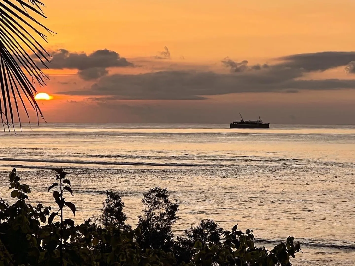 Tanna Evergreen Resort & Tours