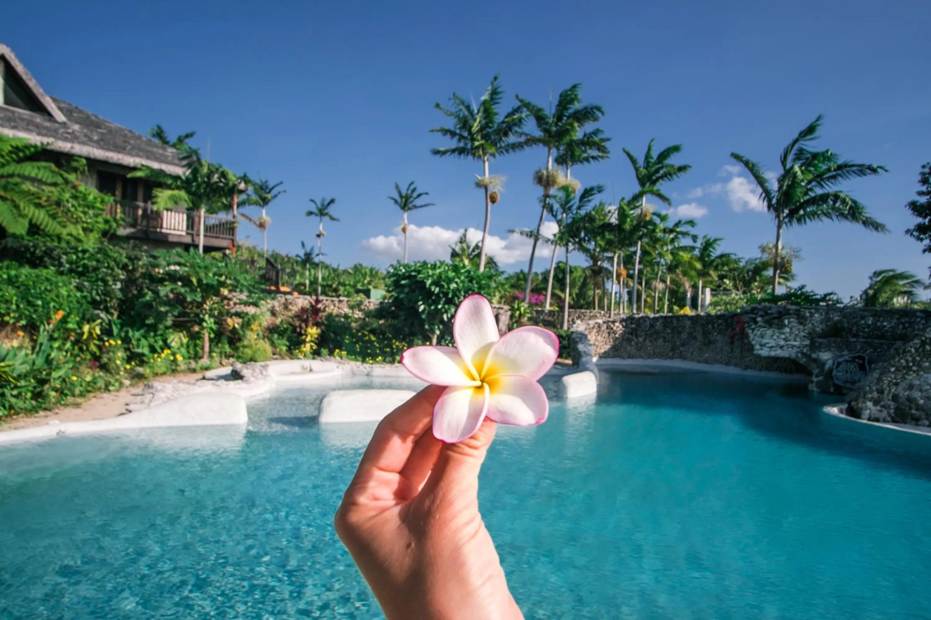 Tanna Evergreen Resort & Tours