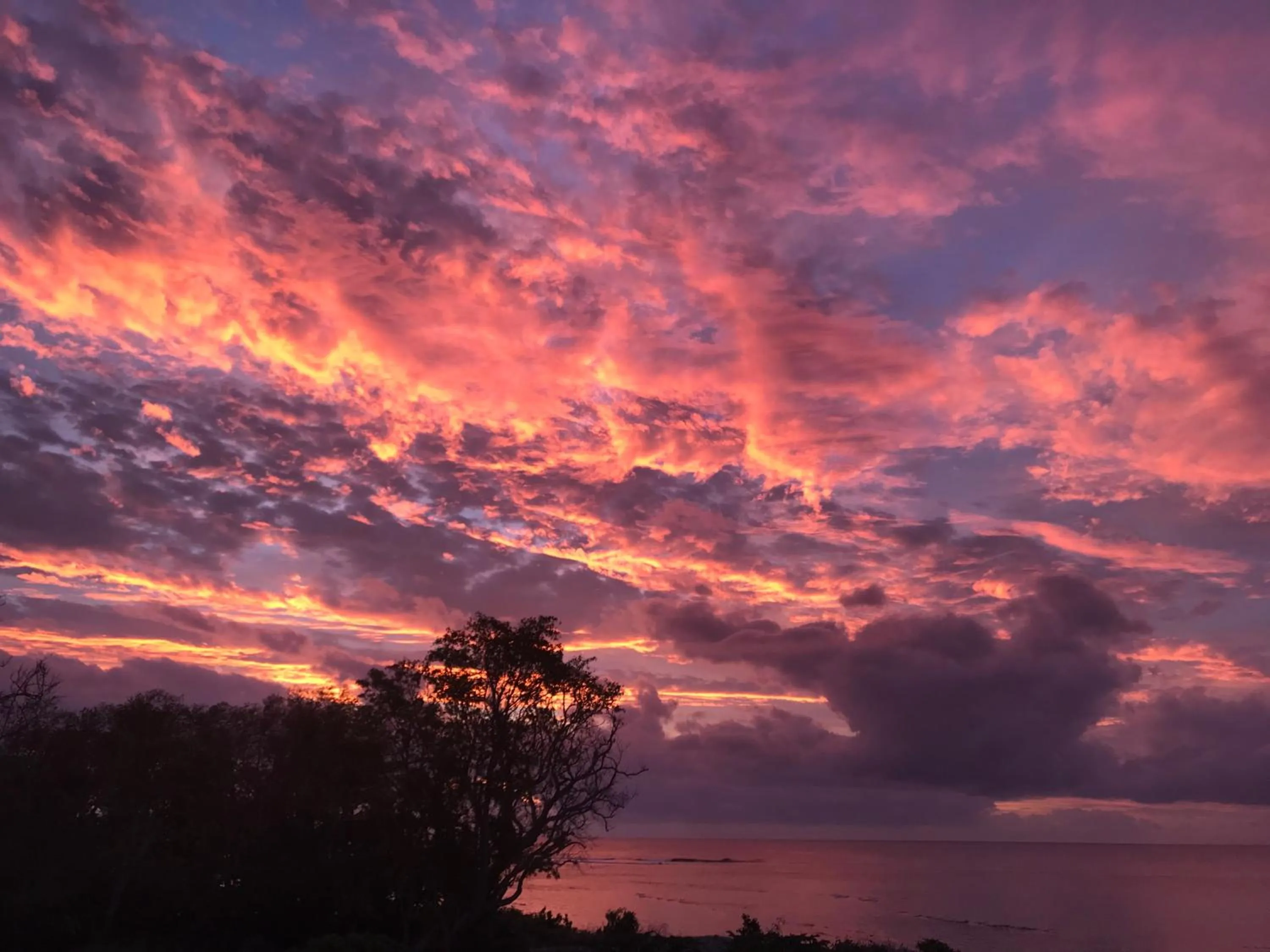 Sea view in Tanna Evergreen Resort & Tours