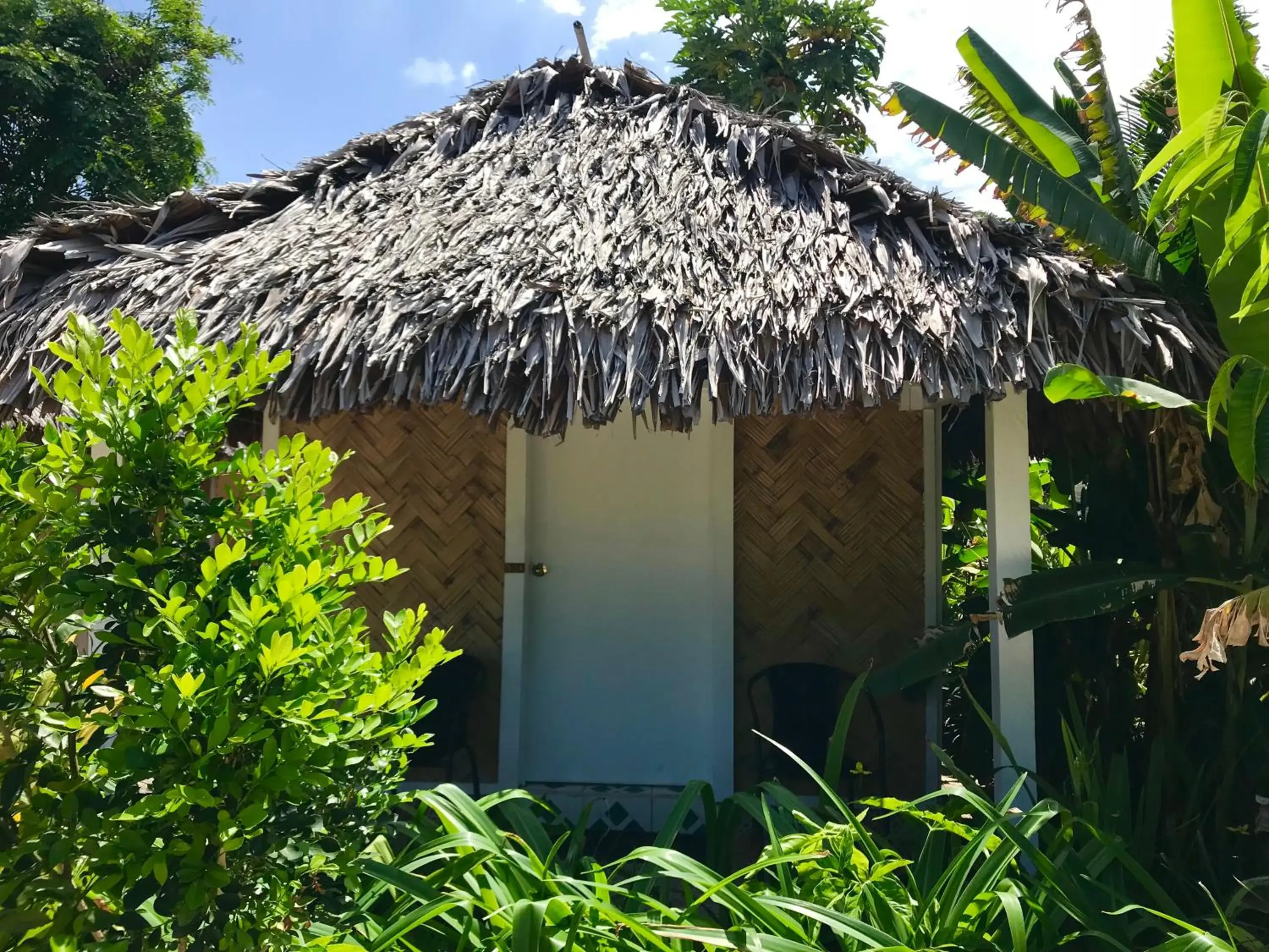 Budget Bungalow with Shared Bathroom in Tanna Evergreen Resort & Tours Budget Bungalow with Shared Bathroom in Tanna Evergreen Resort & Tours
