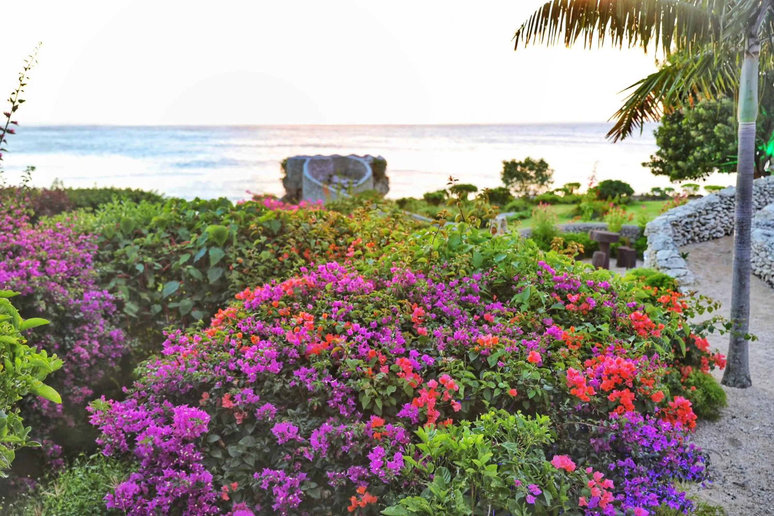 Tanna Evergreen Resort & Tours