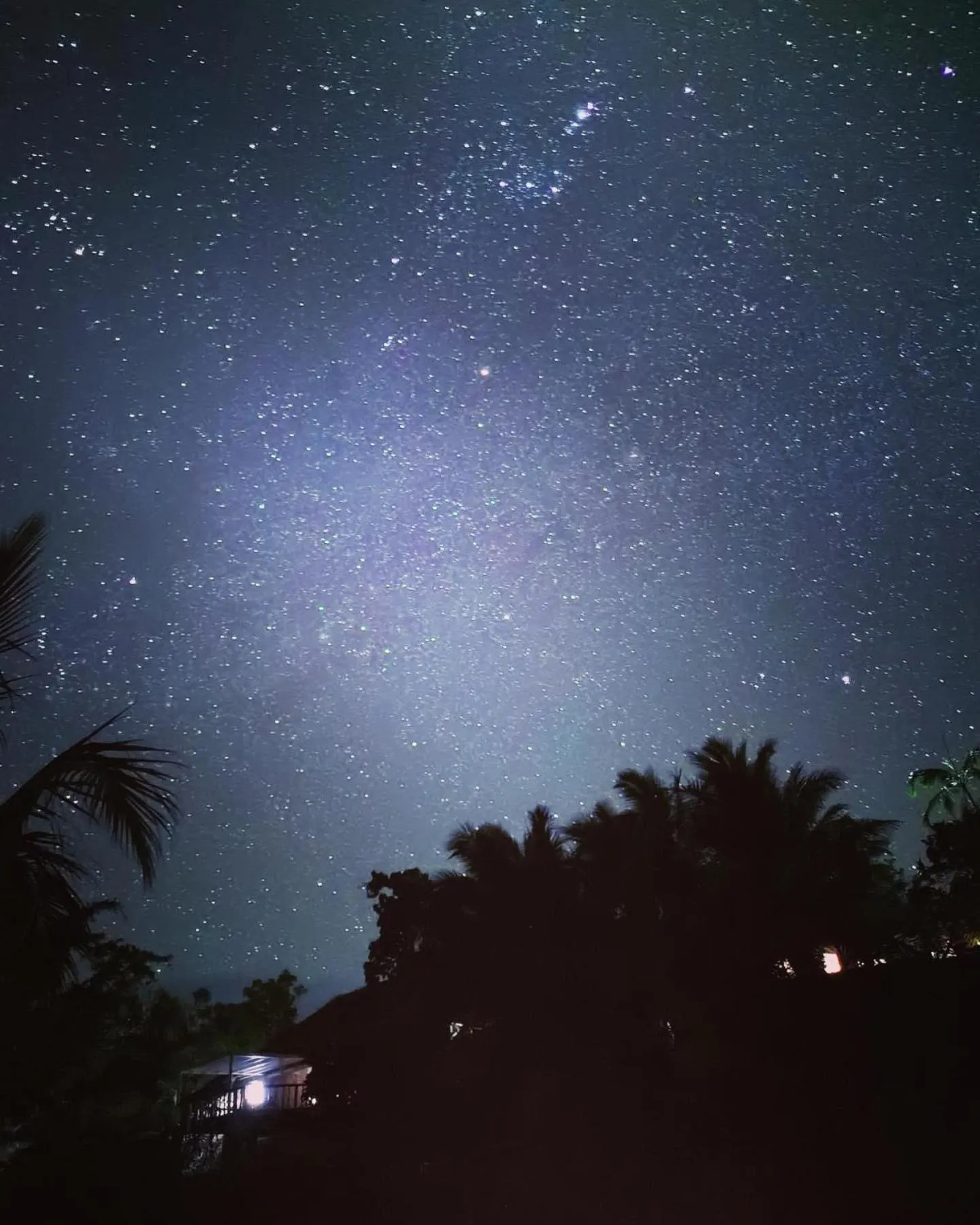 Tanna Evergreen Resort & Tours