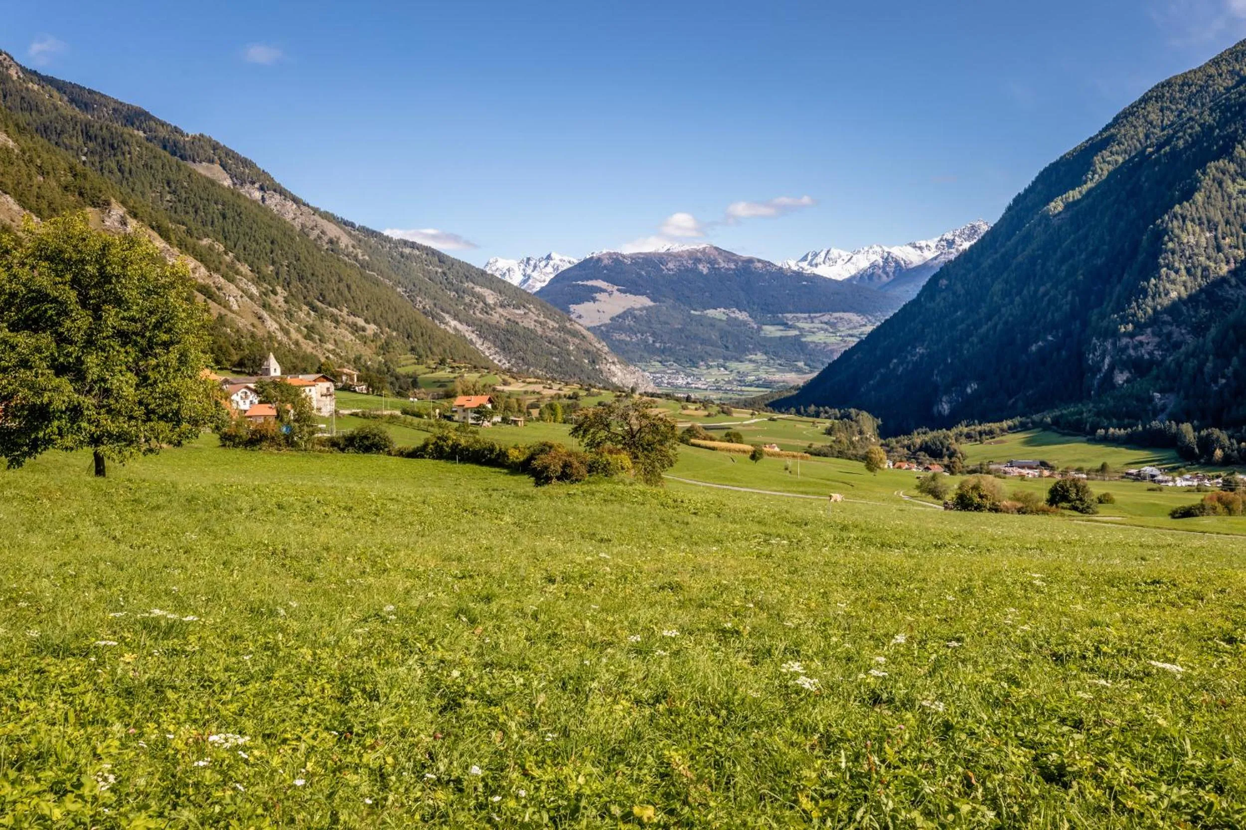Mountain view in Hotel Chavalatsch
