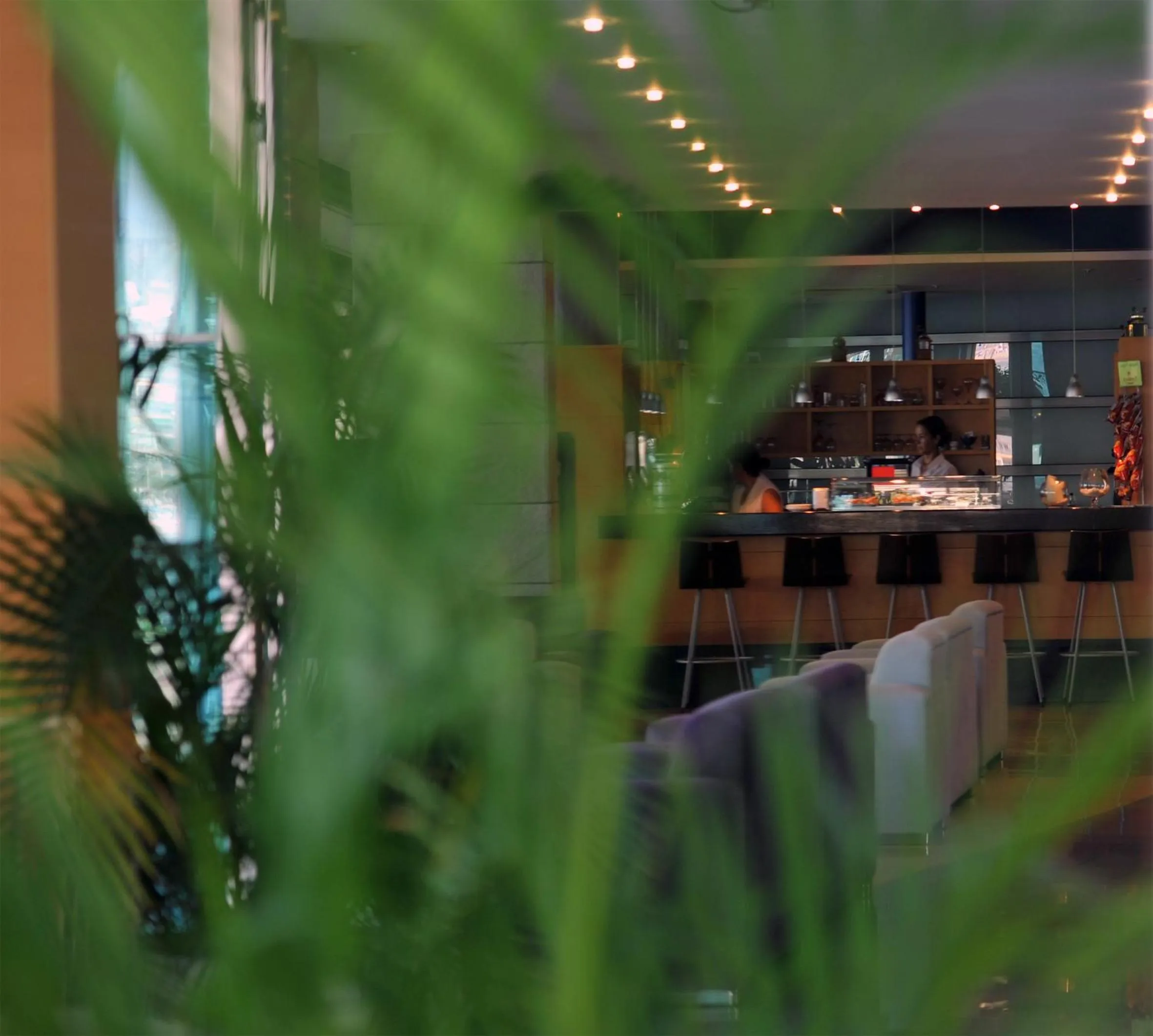 Lounge or bar in Hotel Nadal