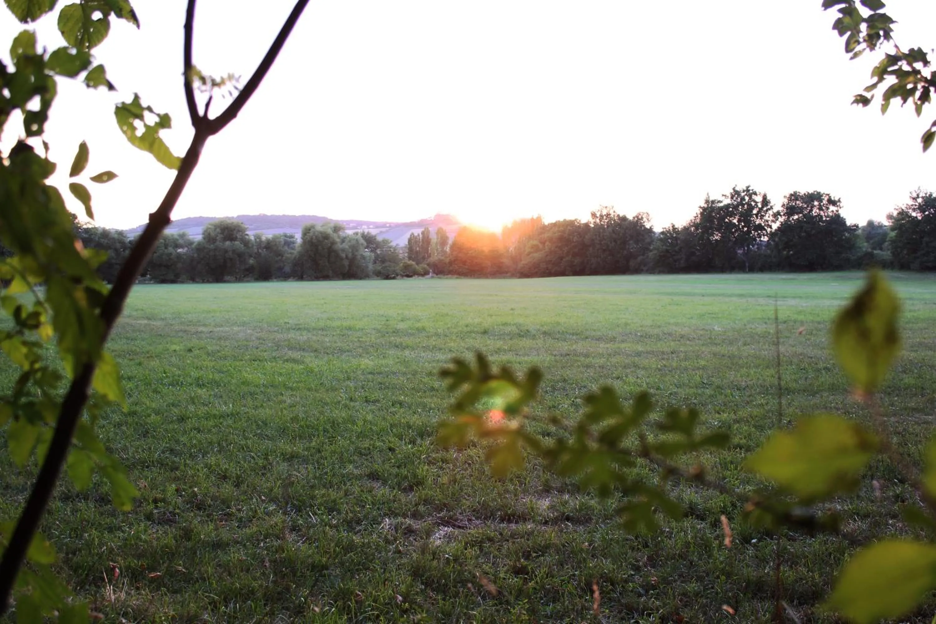 Garden in Domaine des Lilas