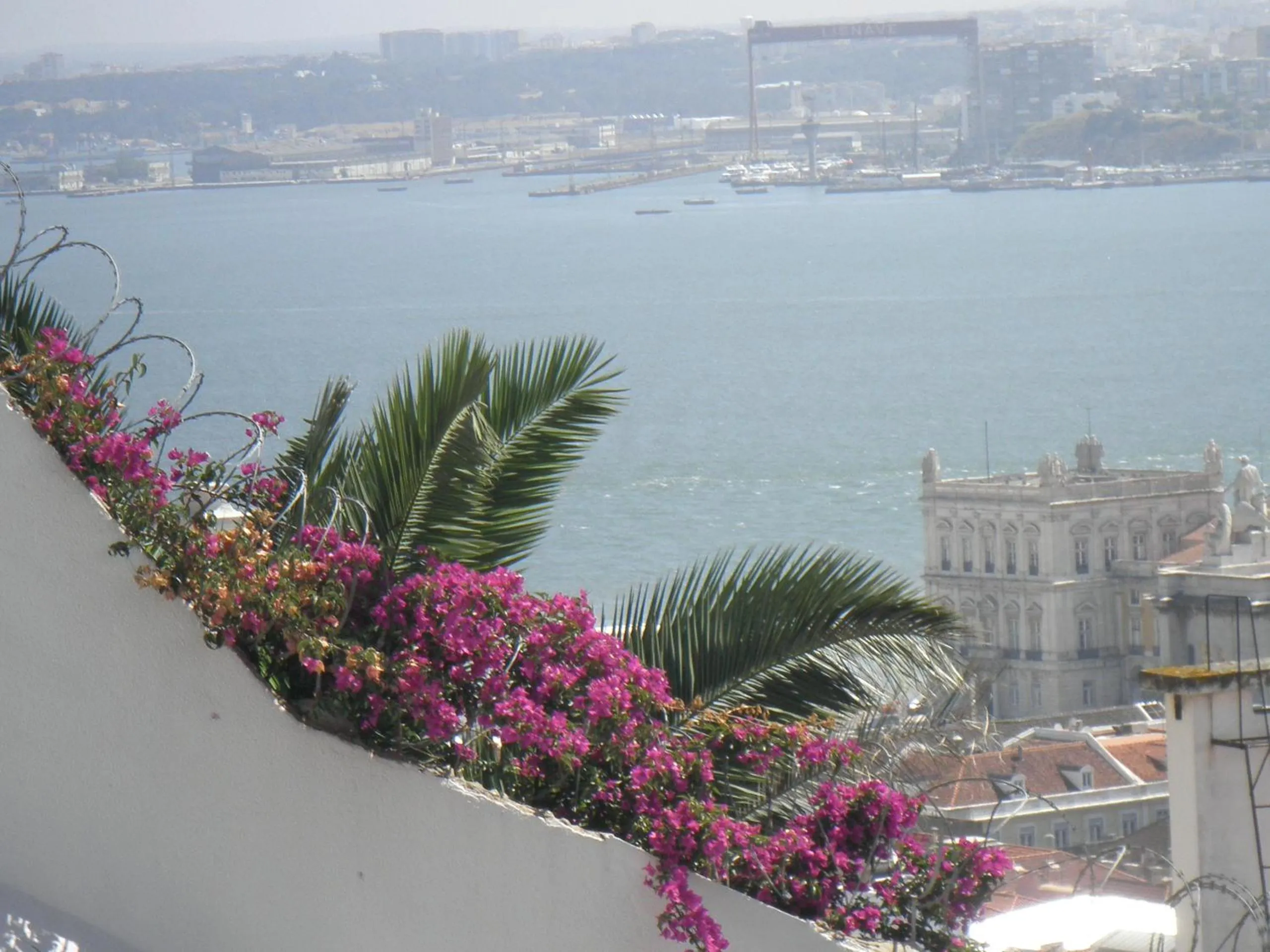 Apartment terrace Castelo S.Jorge
