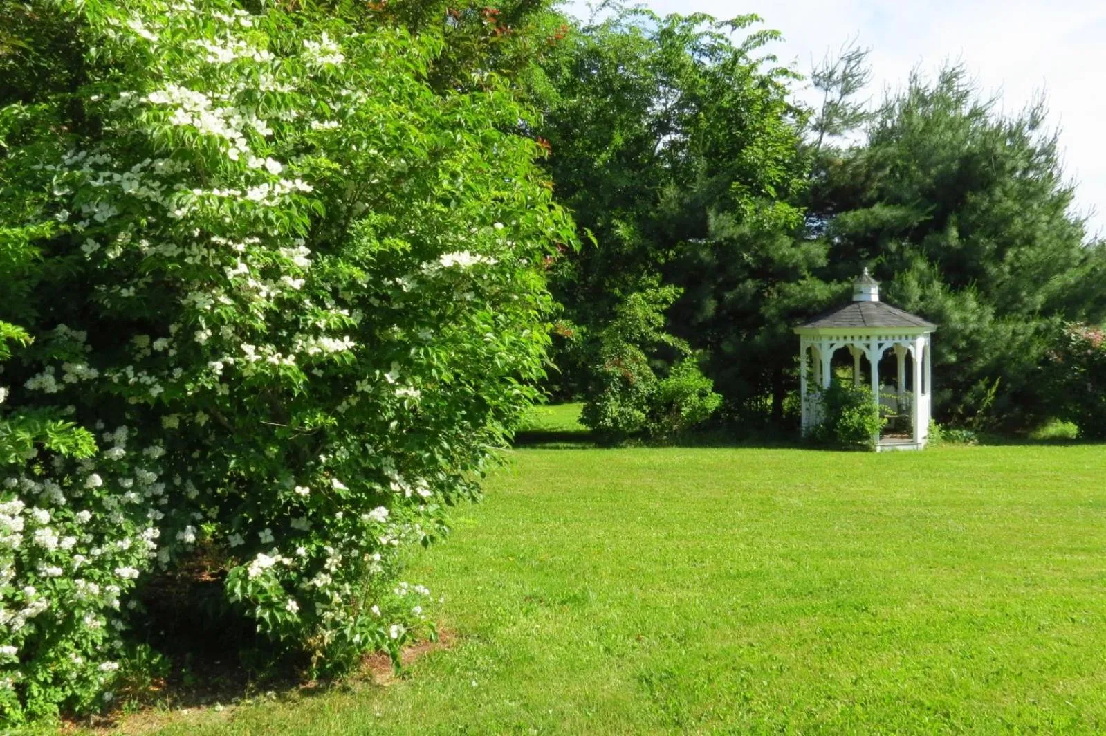 Garden in Timber Post Bed & Breakfast