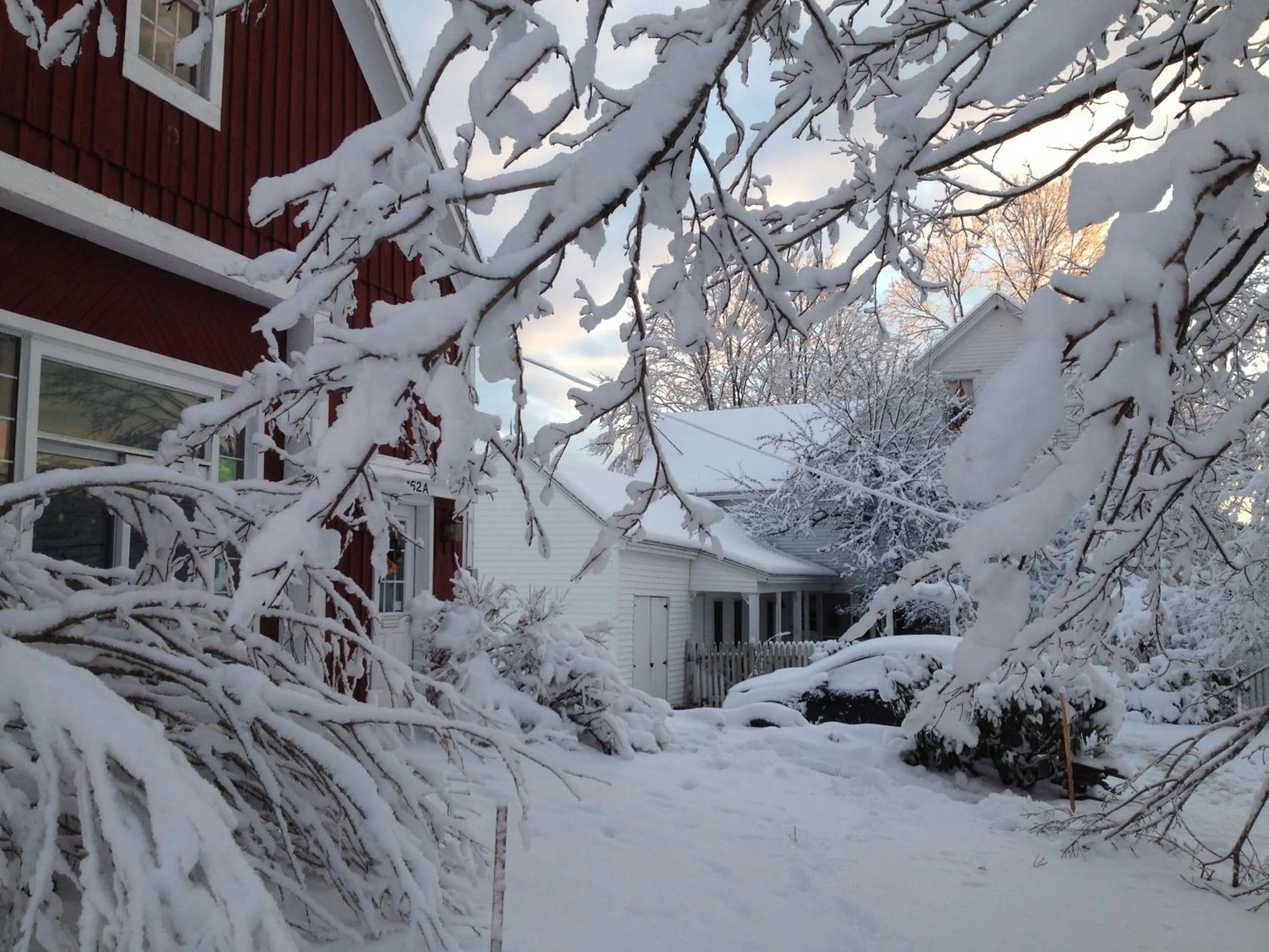 Winter in Timber Post Bed & Breakfast