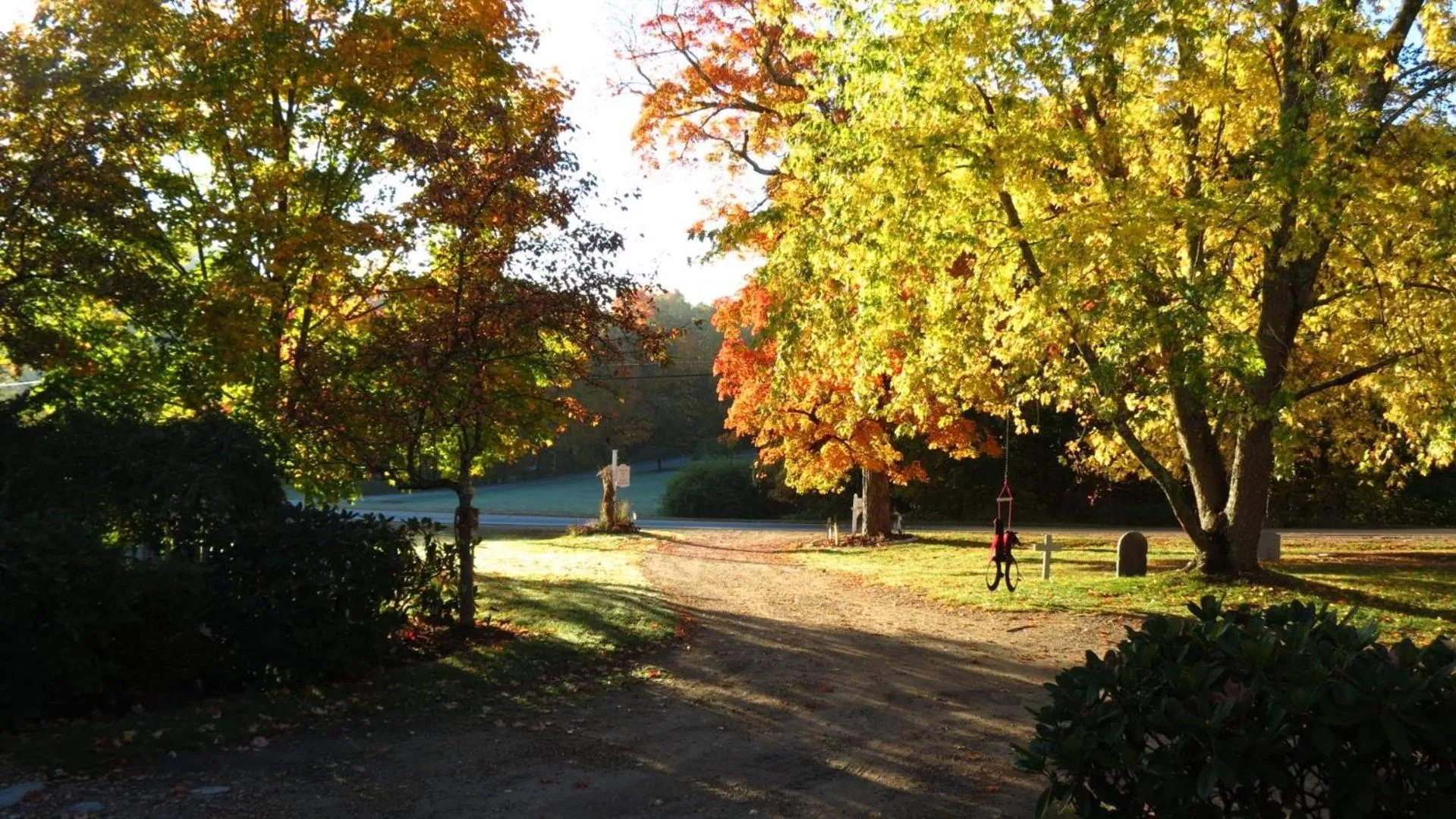 On site in Timber Post Bed & Breakfast