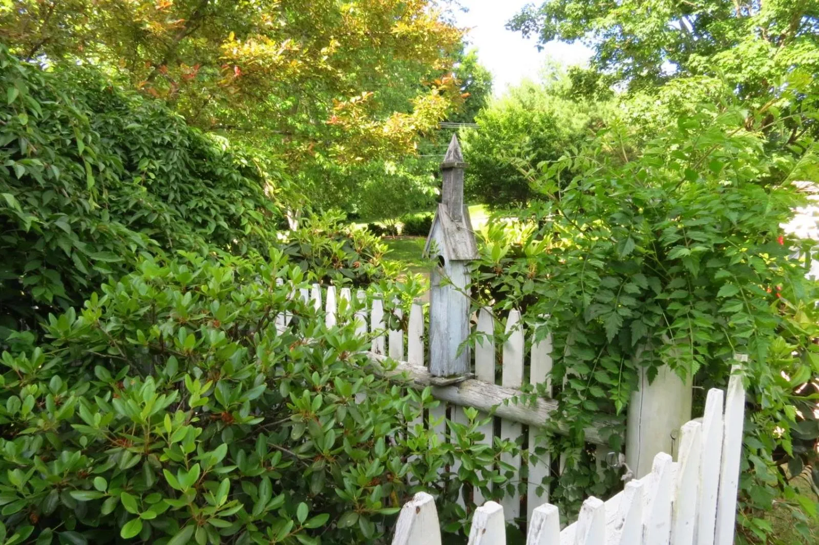 Natural landscape in Timber Post Bed & Breakfast