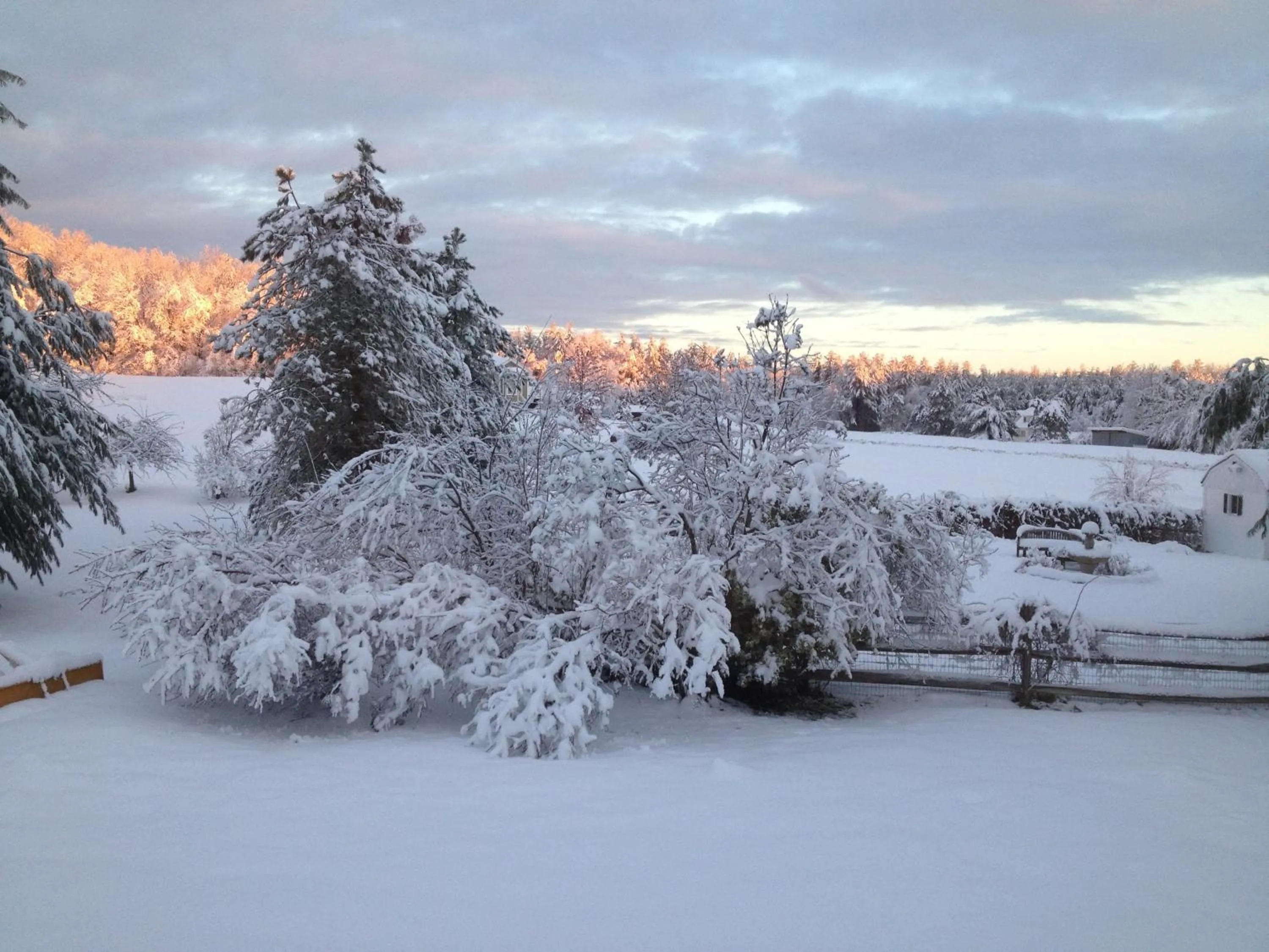 Winter in Timber Post Bed & Breakfast