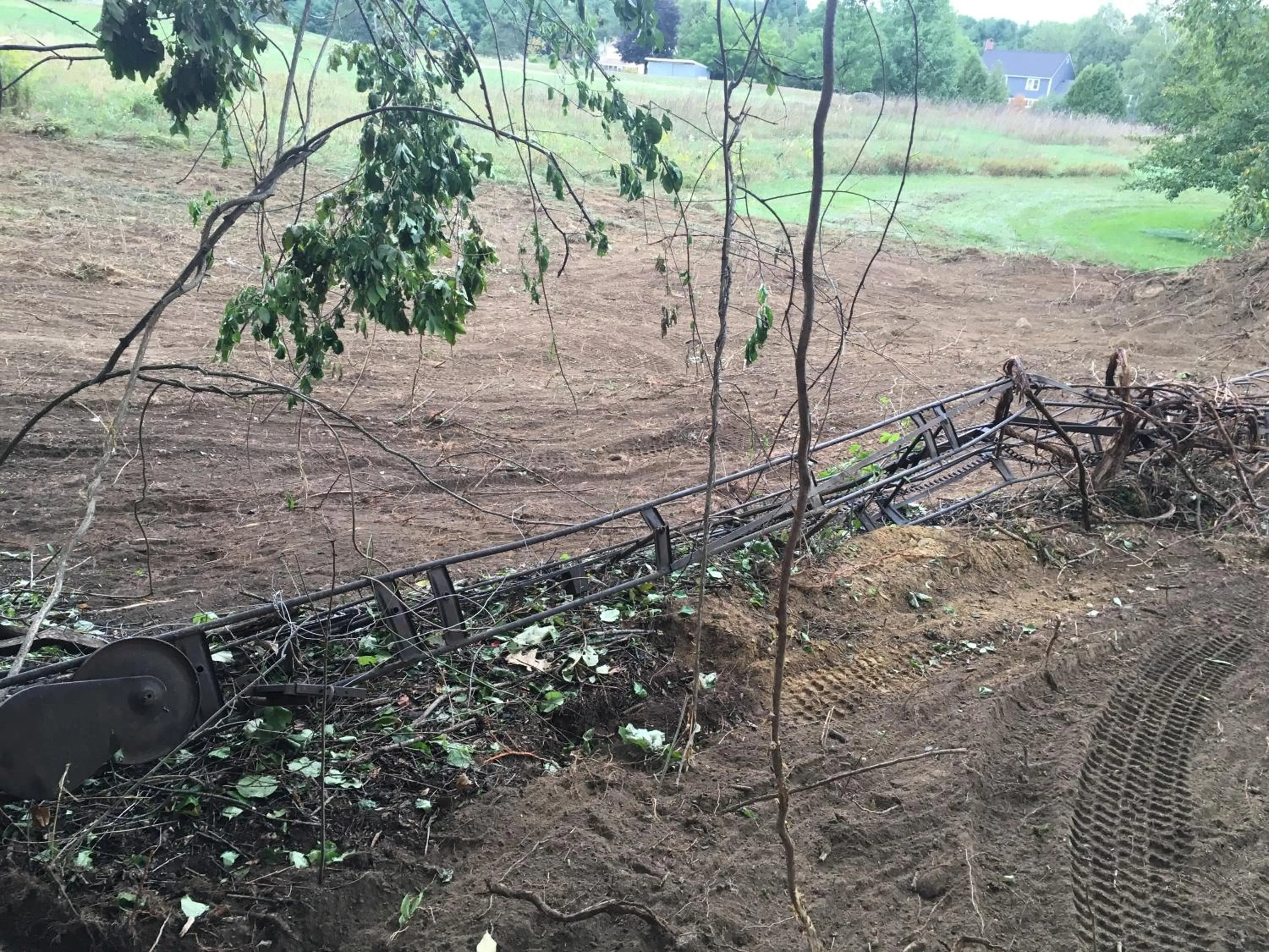 Garden in Timber Post Bed & Breakfast