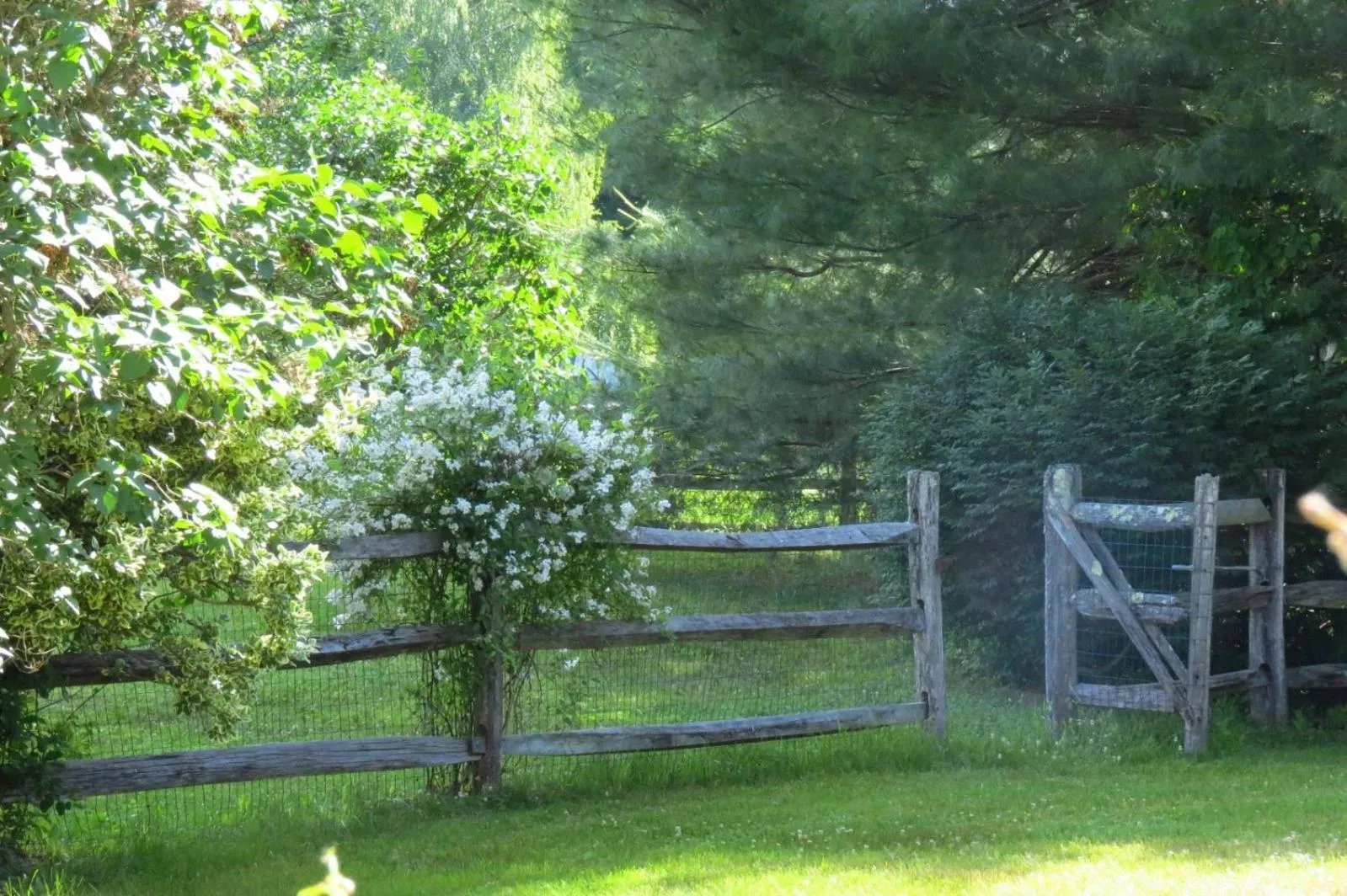 Natural landscape in Timber Post Bed & Breakfast
