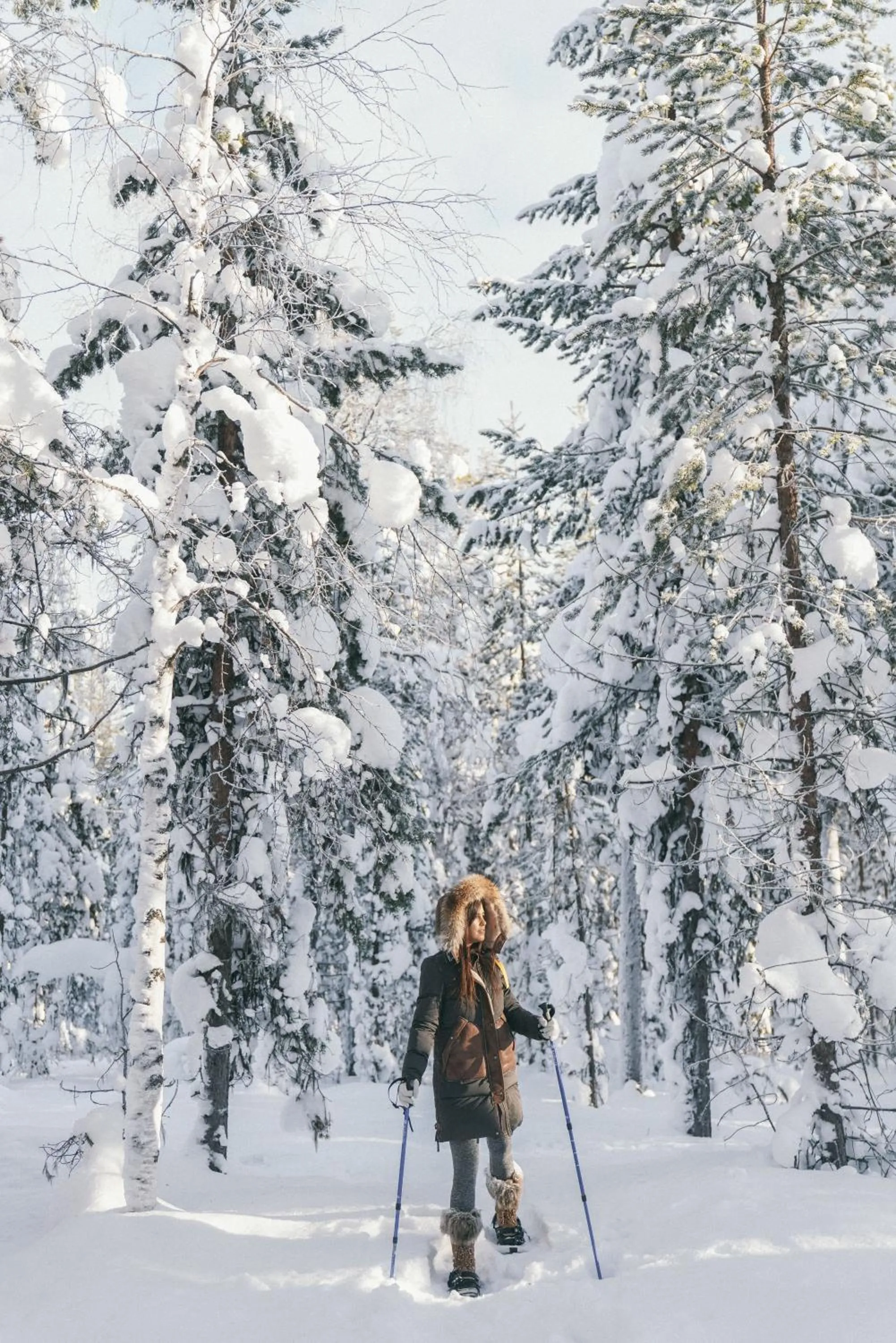 Northern Lights Ranch