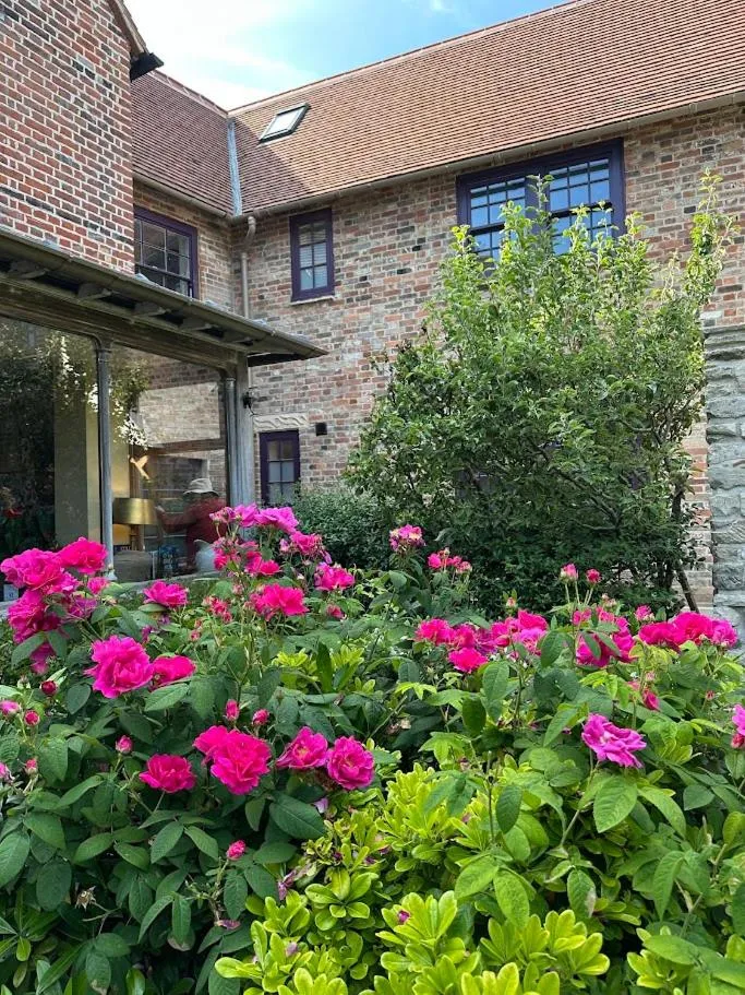 Garden in One Holyrood Hotel & Cafe