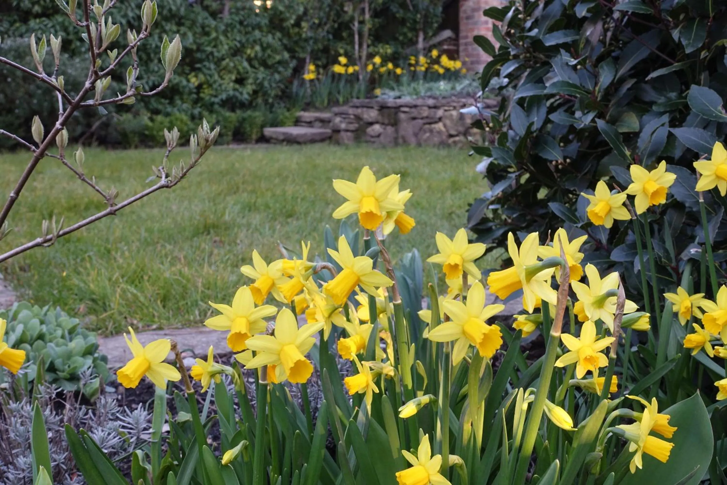 Garden in One Holyrood Hotel & Cafe