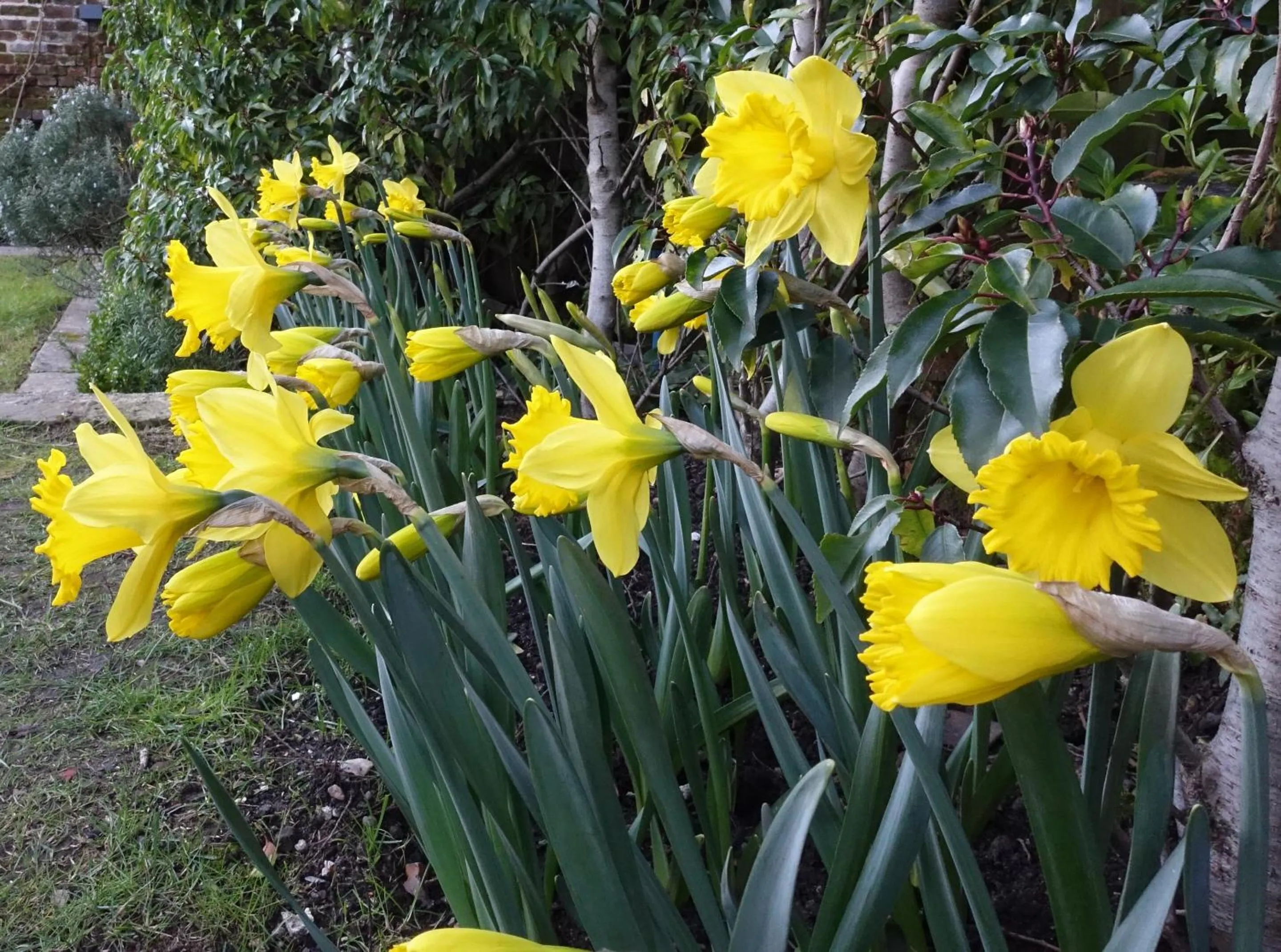 Garden in One Holyrood Hotel & Cafe