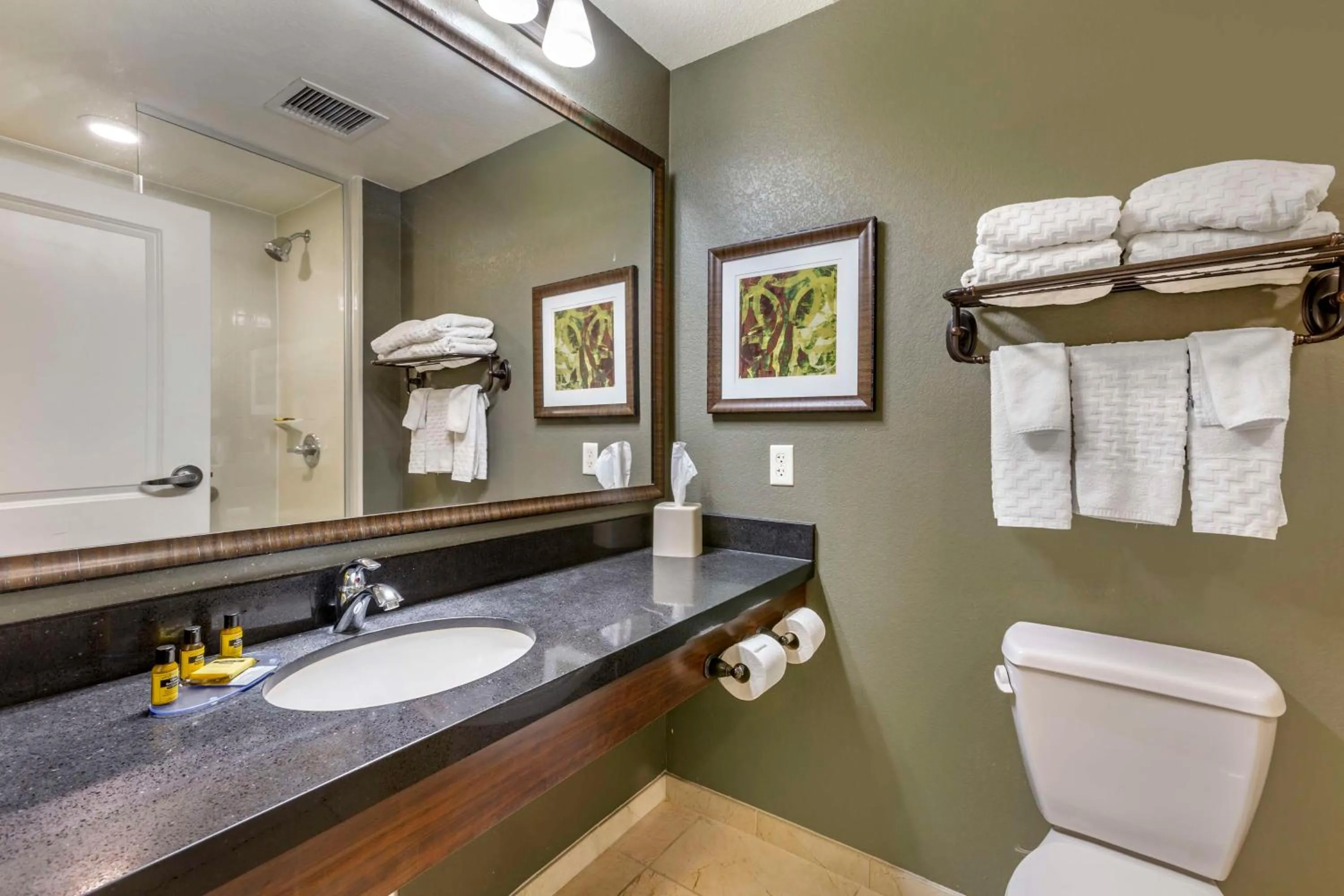 Bathroom in Best Western Plus Chandler Hotel & Suites