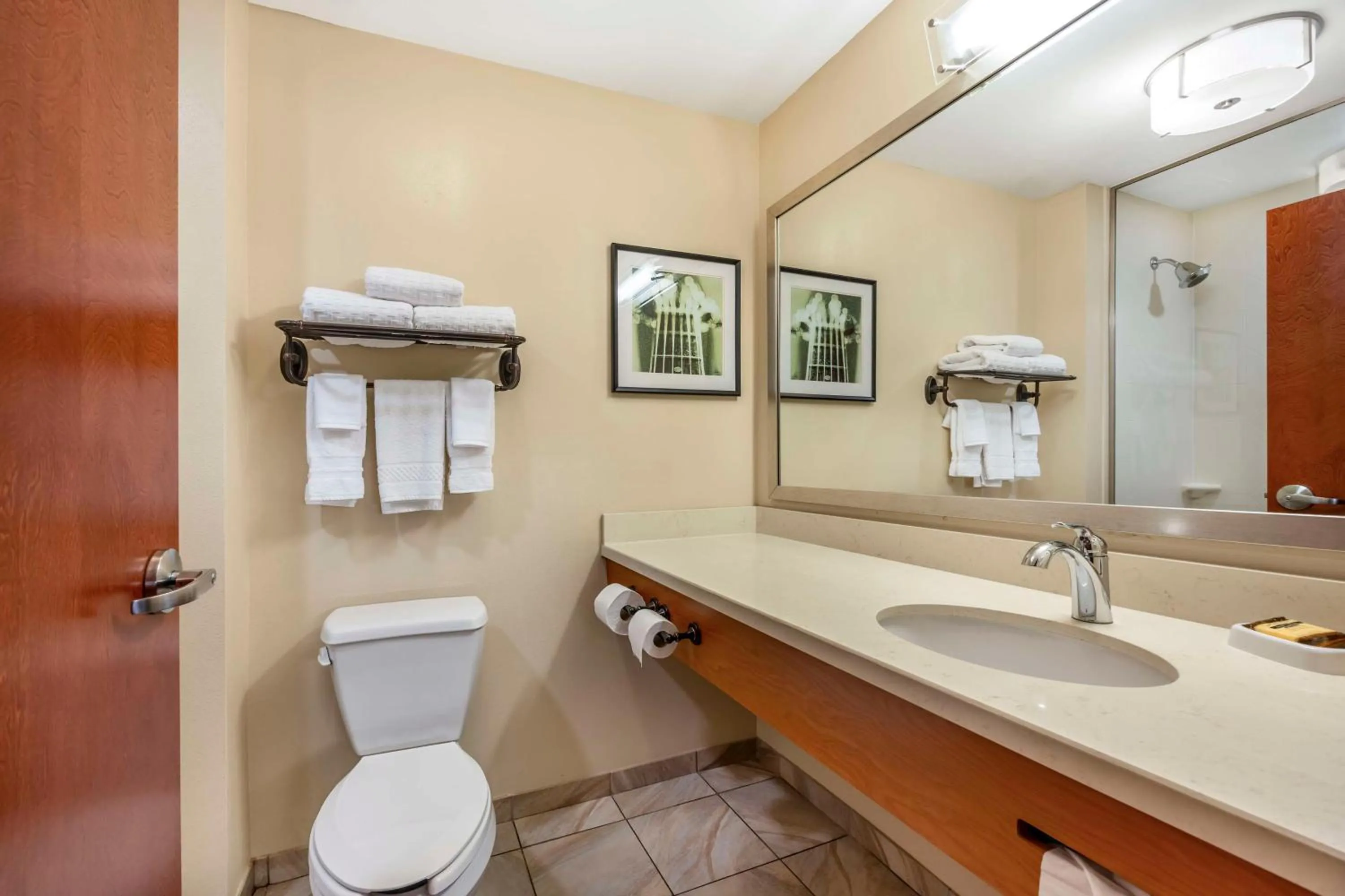 Bathroom in Best Western Plus Tuscumbia/Muscle Shoals Hotel & Suites