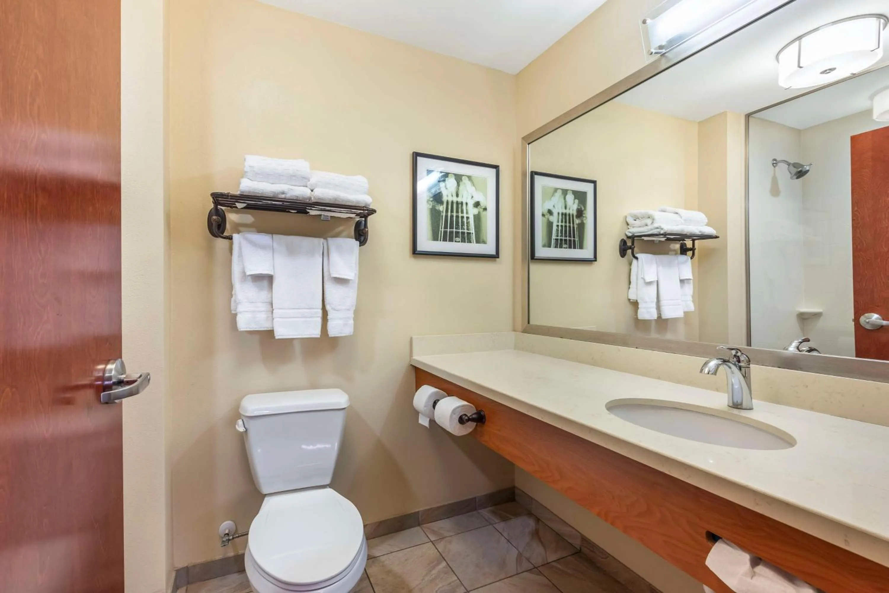 Bathroom in Best Western Plus Tuscumbia/Muscle Shoals Hotel & Suites