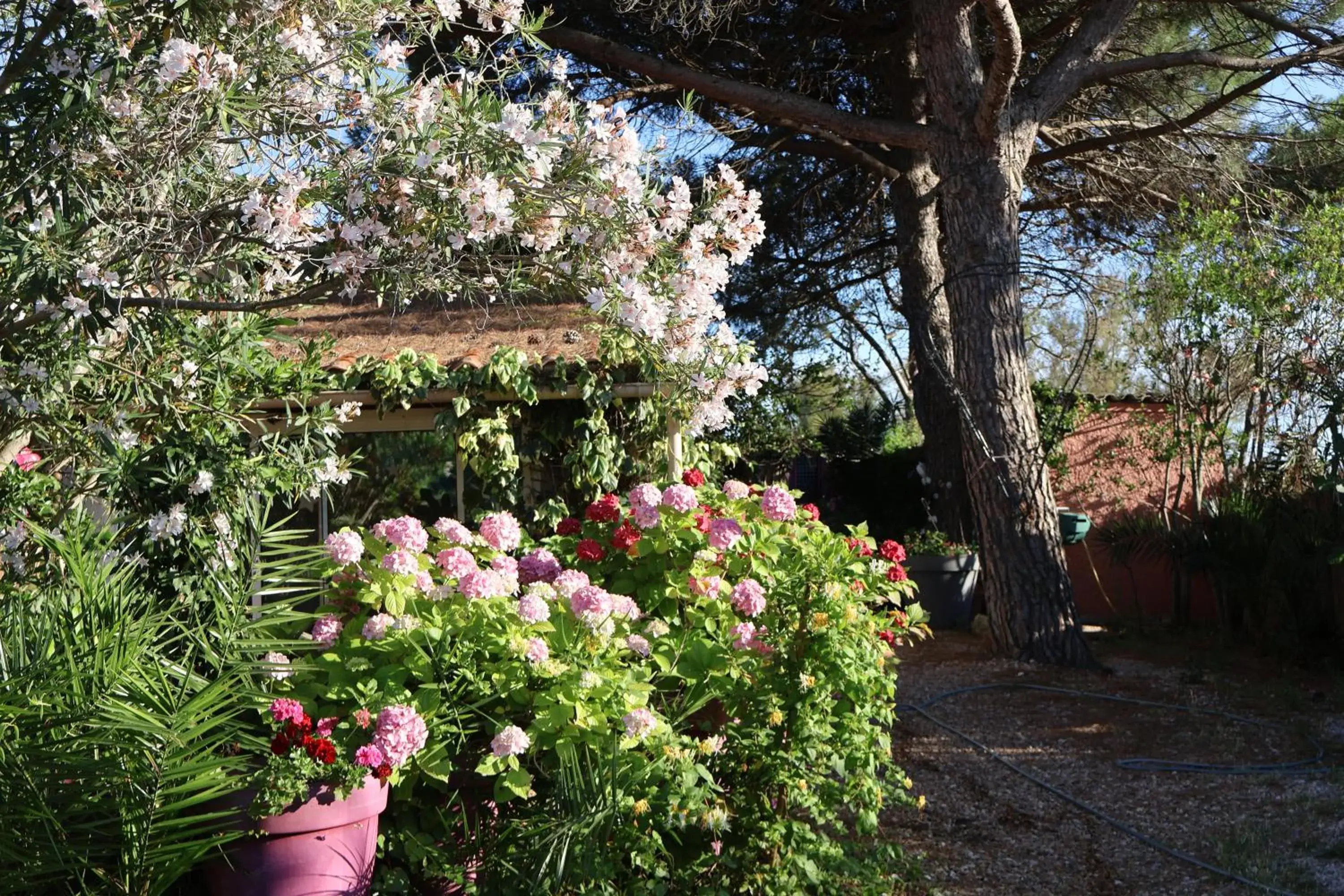 Double Room in Gites Chambres d'hotes Mazet du Maréchal Ferrant Double Room in Gites Chambres d'hotes Mazet du Maréchal Ferrant