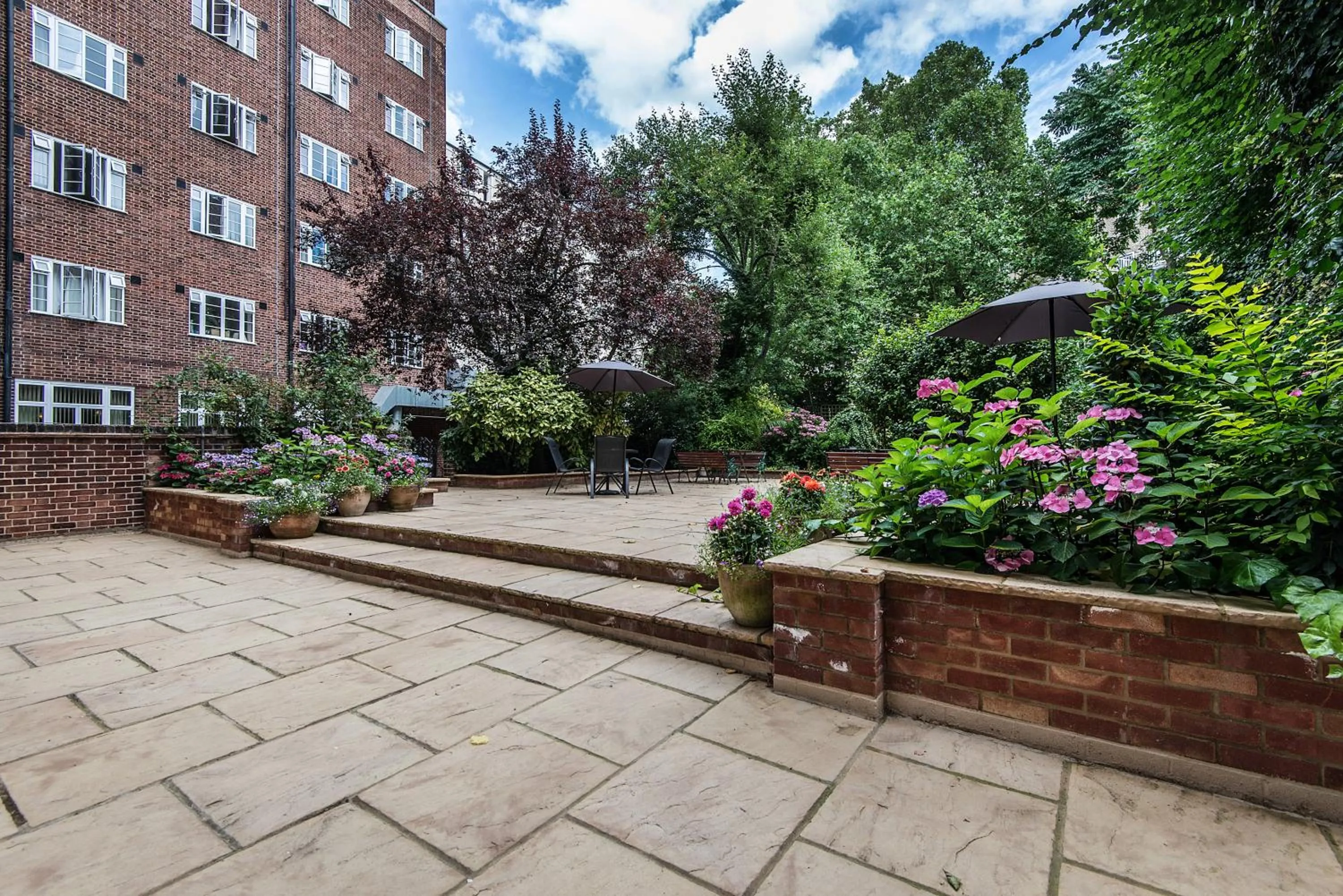 Garden view in Vincent House London Residence