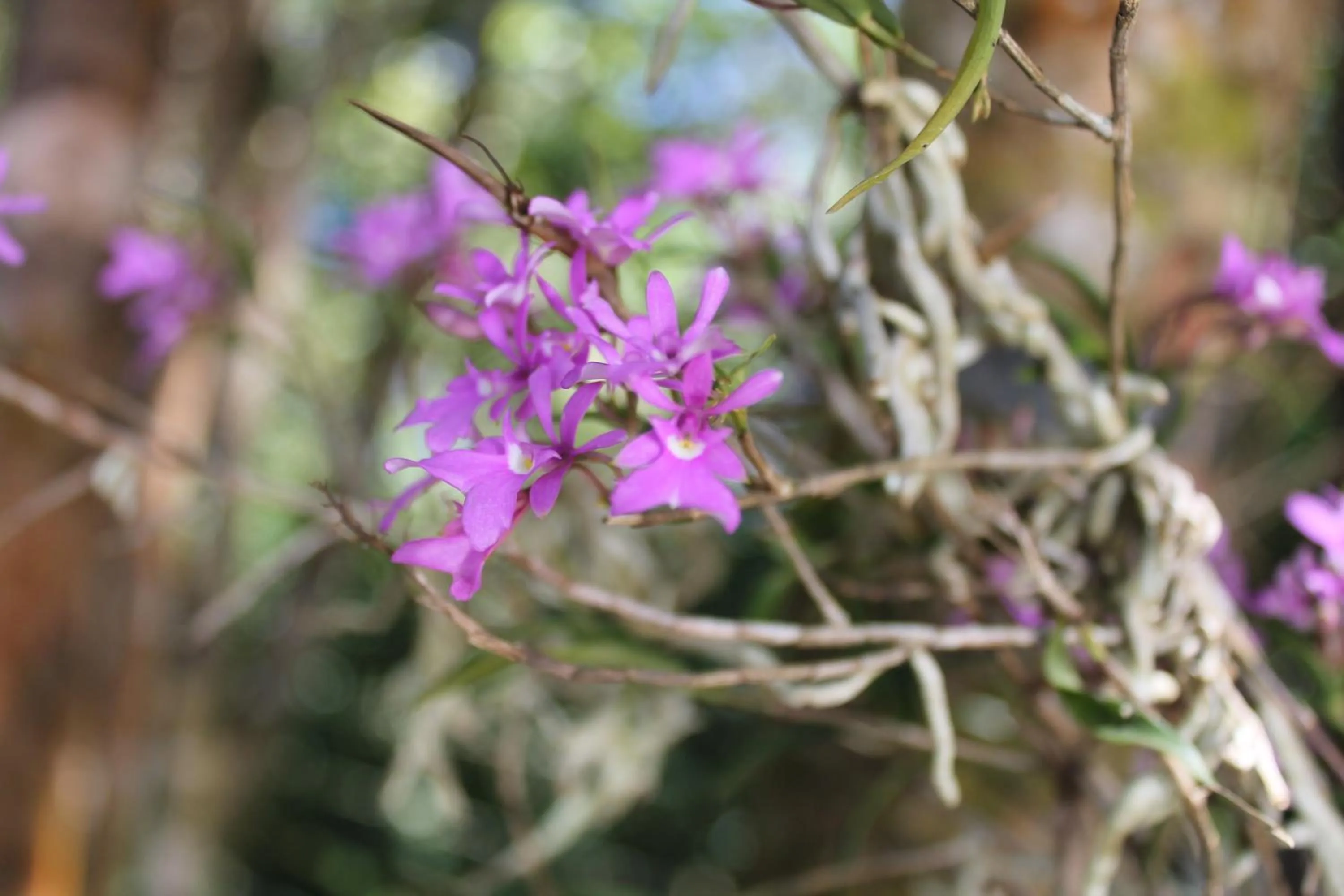 Off site in Greemount Hotel