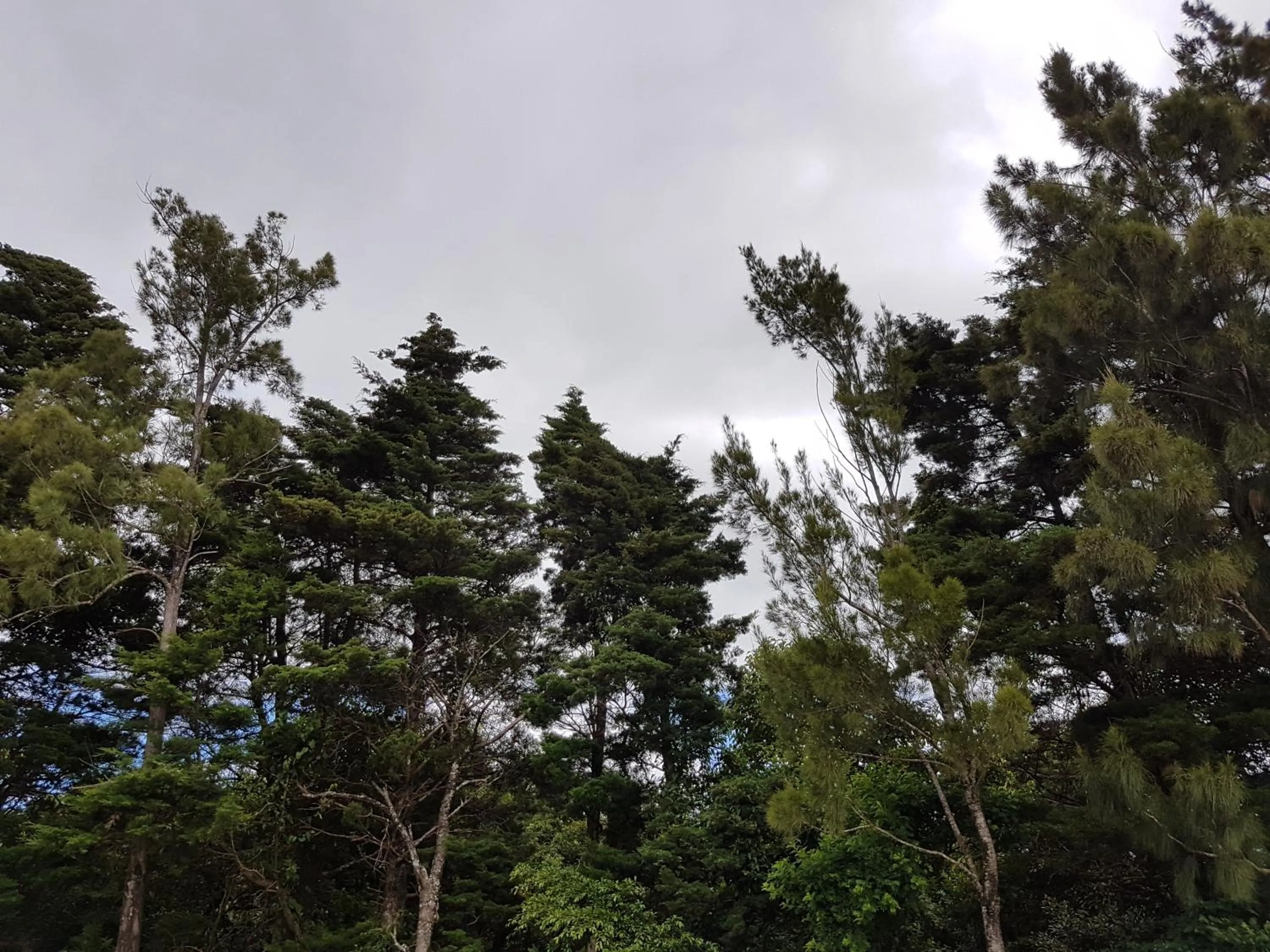 Day in Greemount Hotel